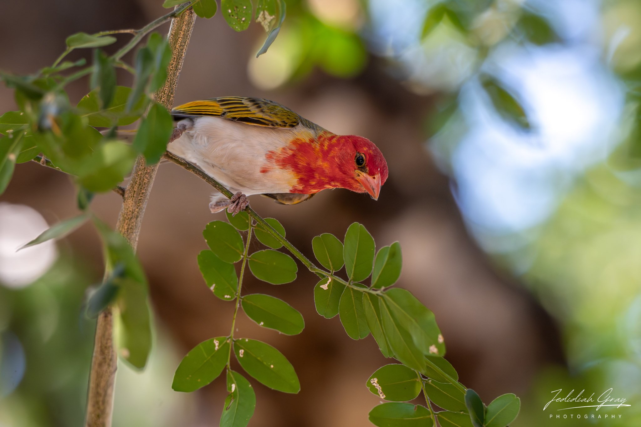 DSC_5178.jpg