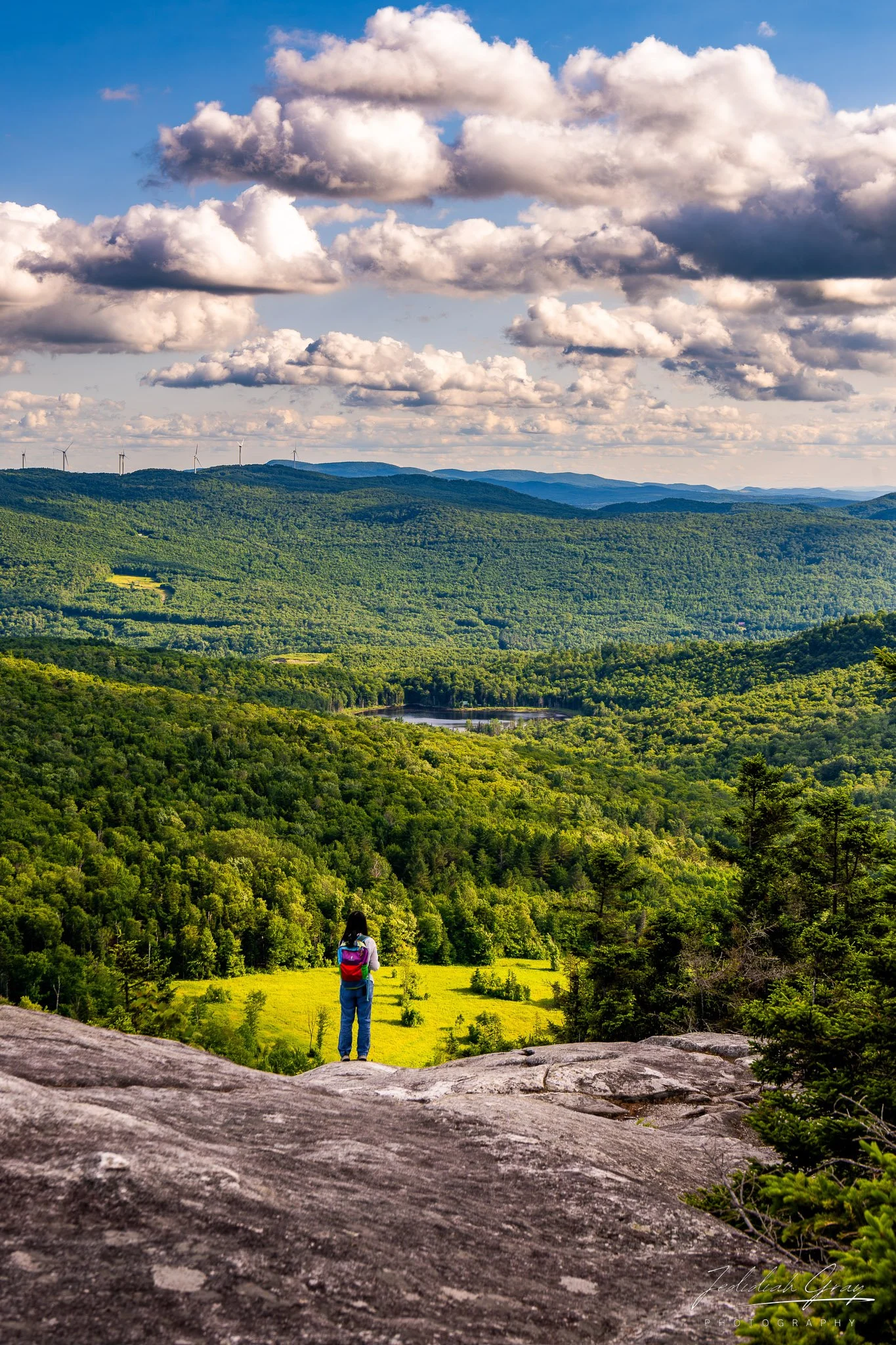 jedidiah-gray_vermont-mountain-summer_01.jpg