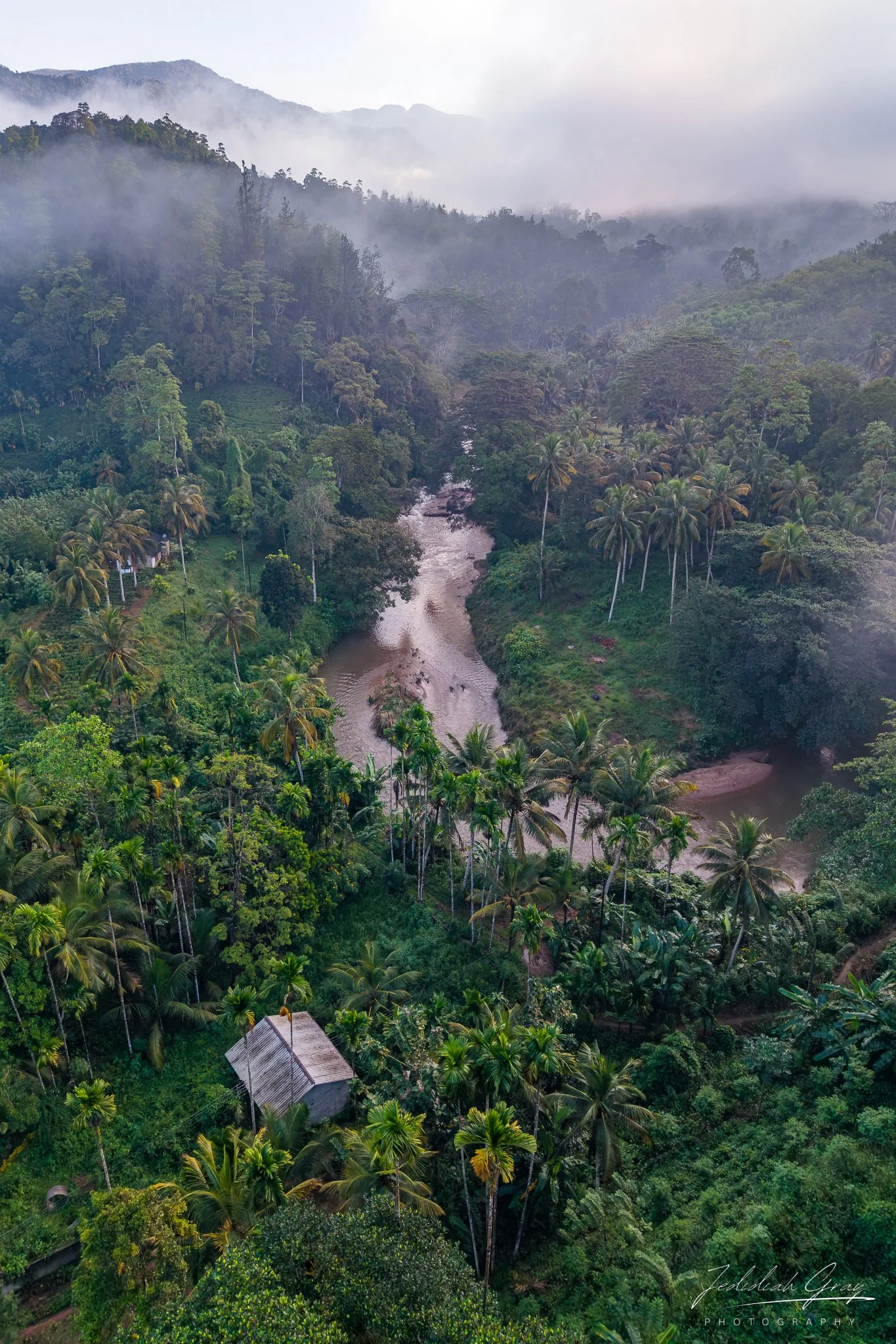jedidiah-gray_sri-lanka-rainforest-river_01.jpg
