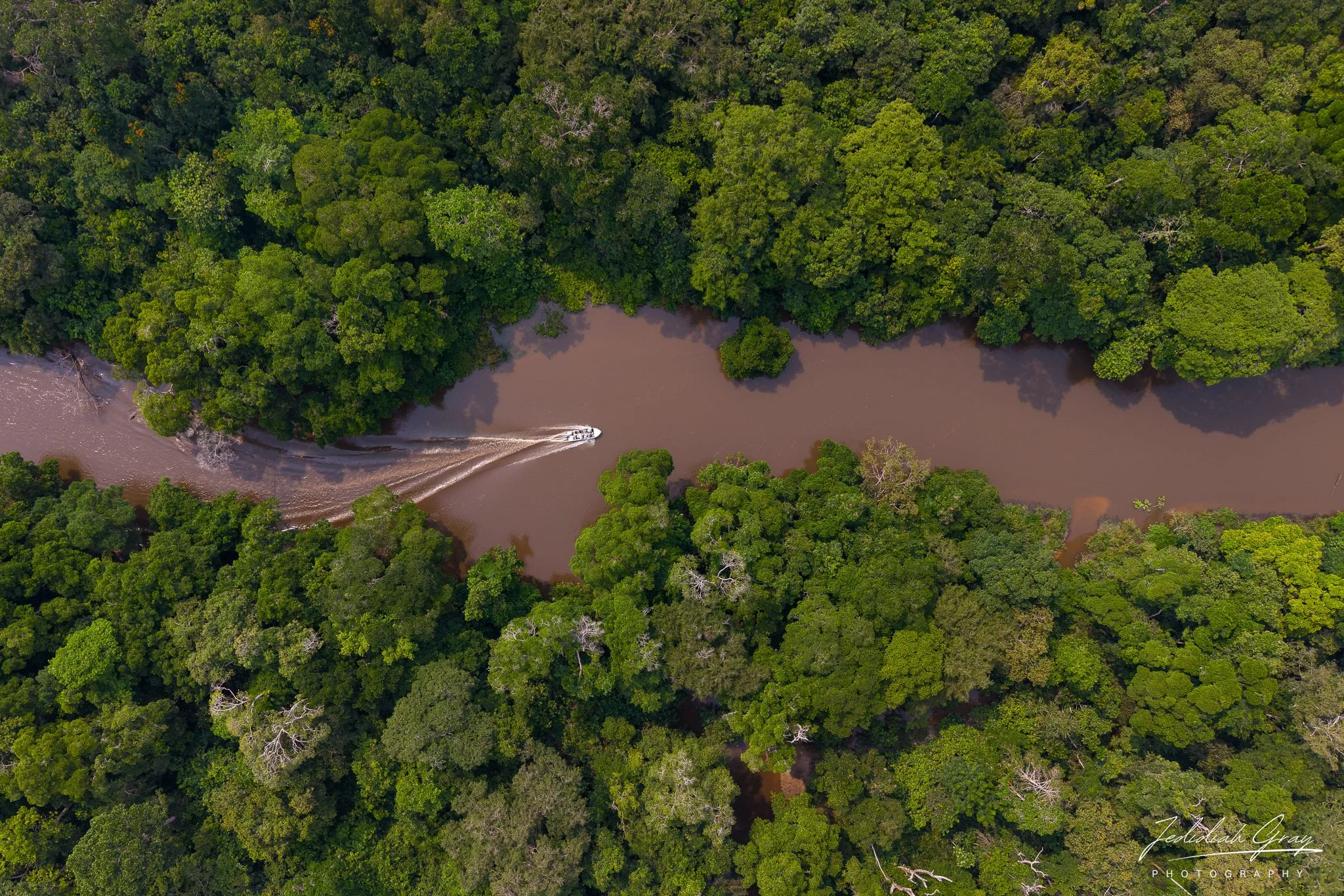 Boat ride on the river in Odzala-Kokoua National Park