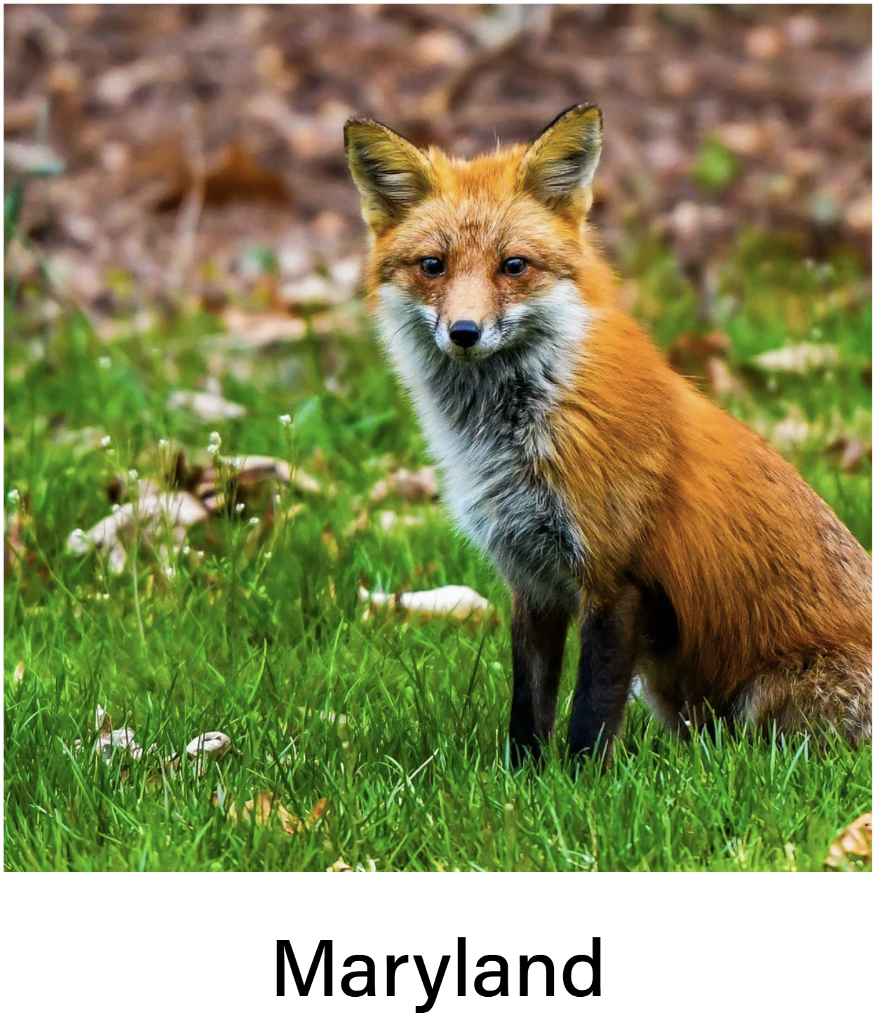 Screenshot 2026-01-01 130153.png