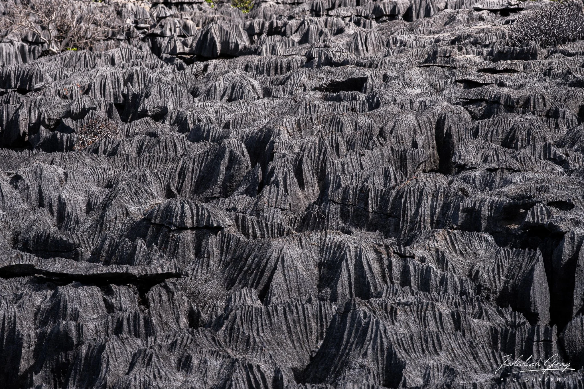 Rock formations at Gray Tsingy, Ankarana National Park