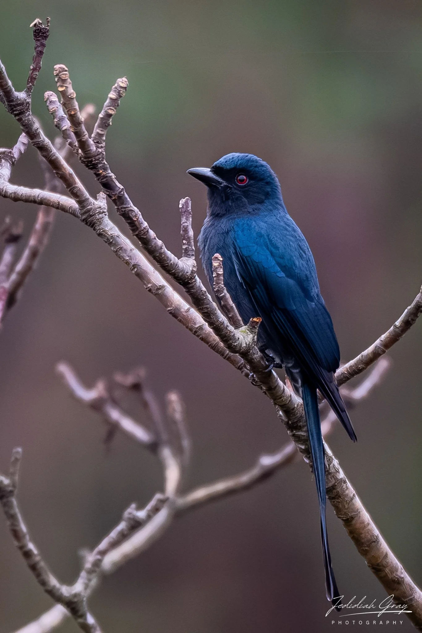 DSC_9162.jpg
