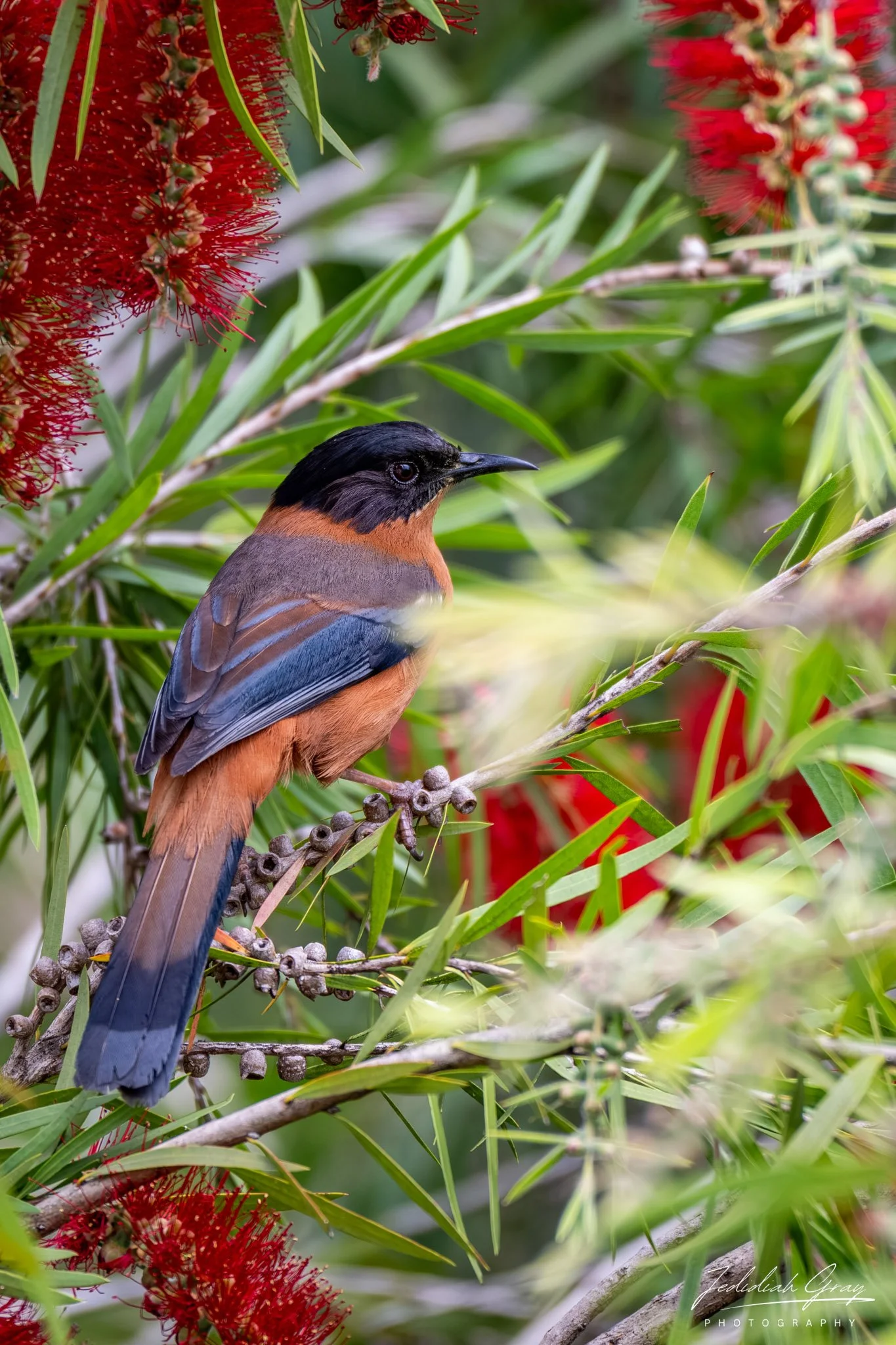 DSC_9724.jpg