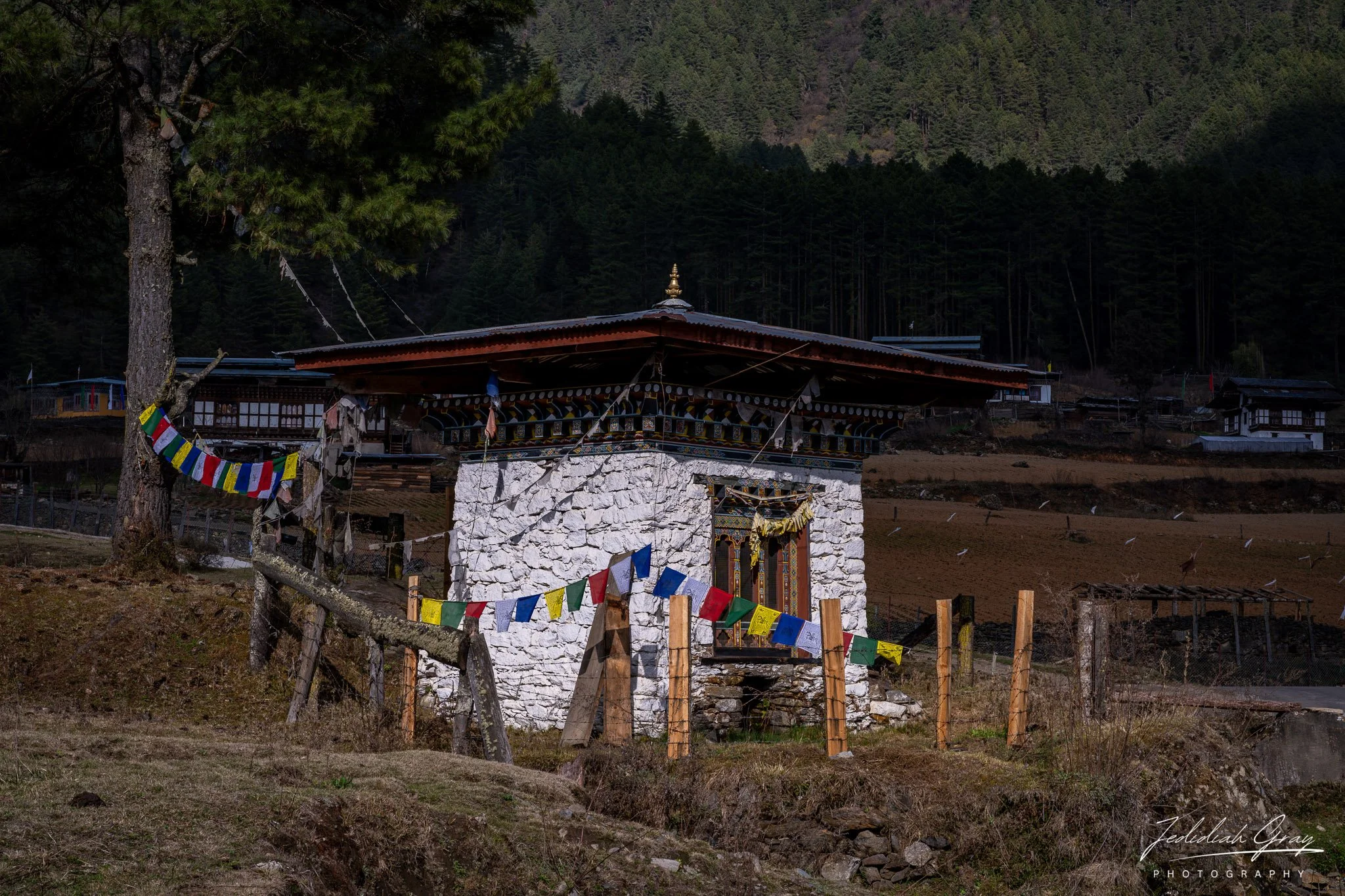 DSC_9182.jpg