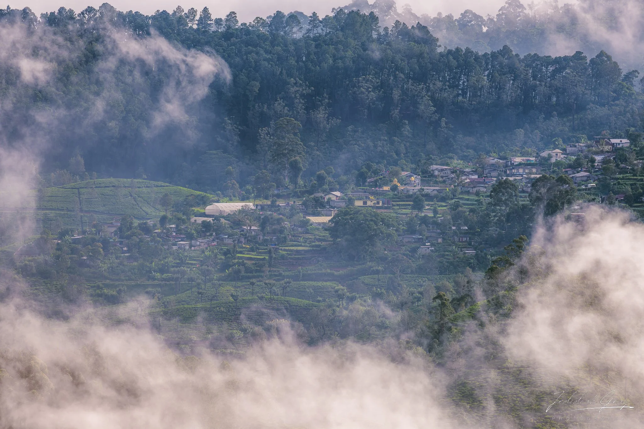 jedidiah-gray_sri-lanka-village-mist_01.jpg