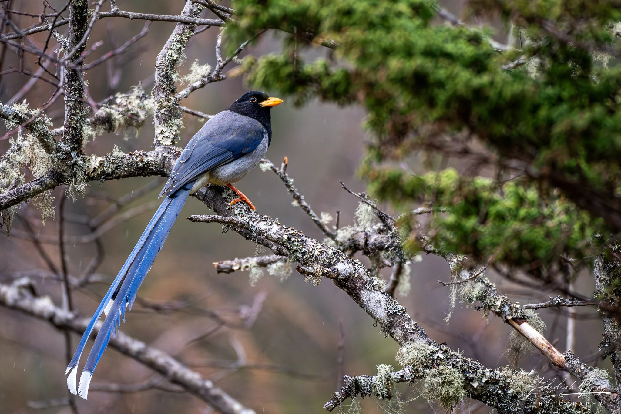 DSC_9928.jpg