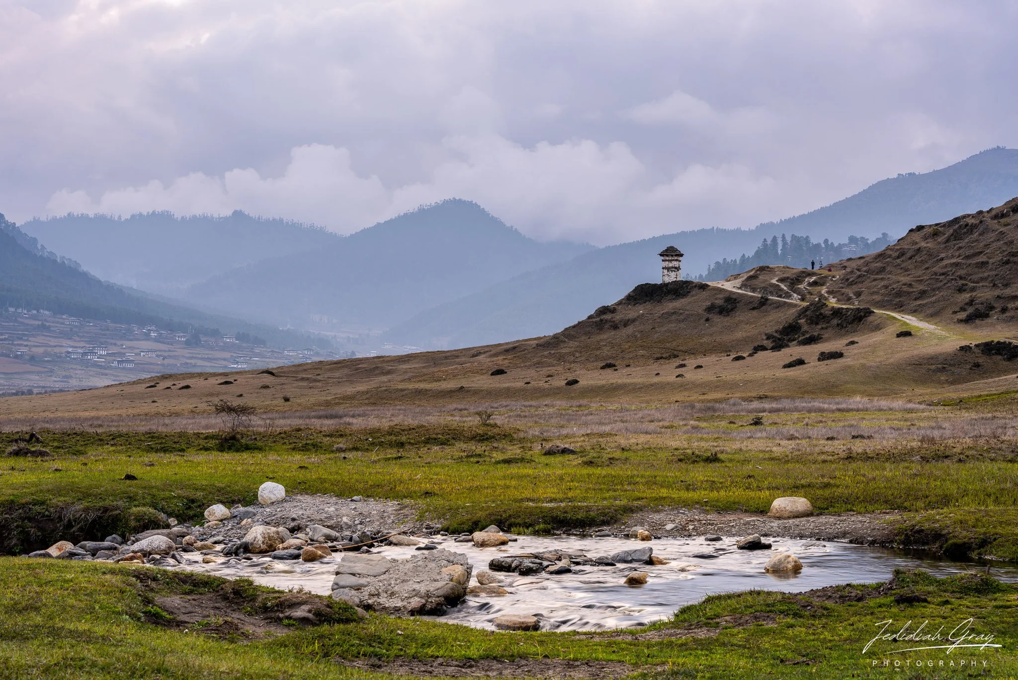 DSC_9447.jpg