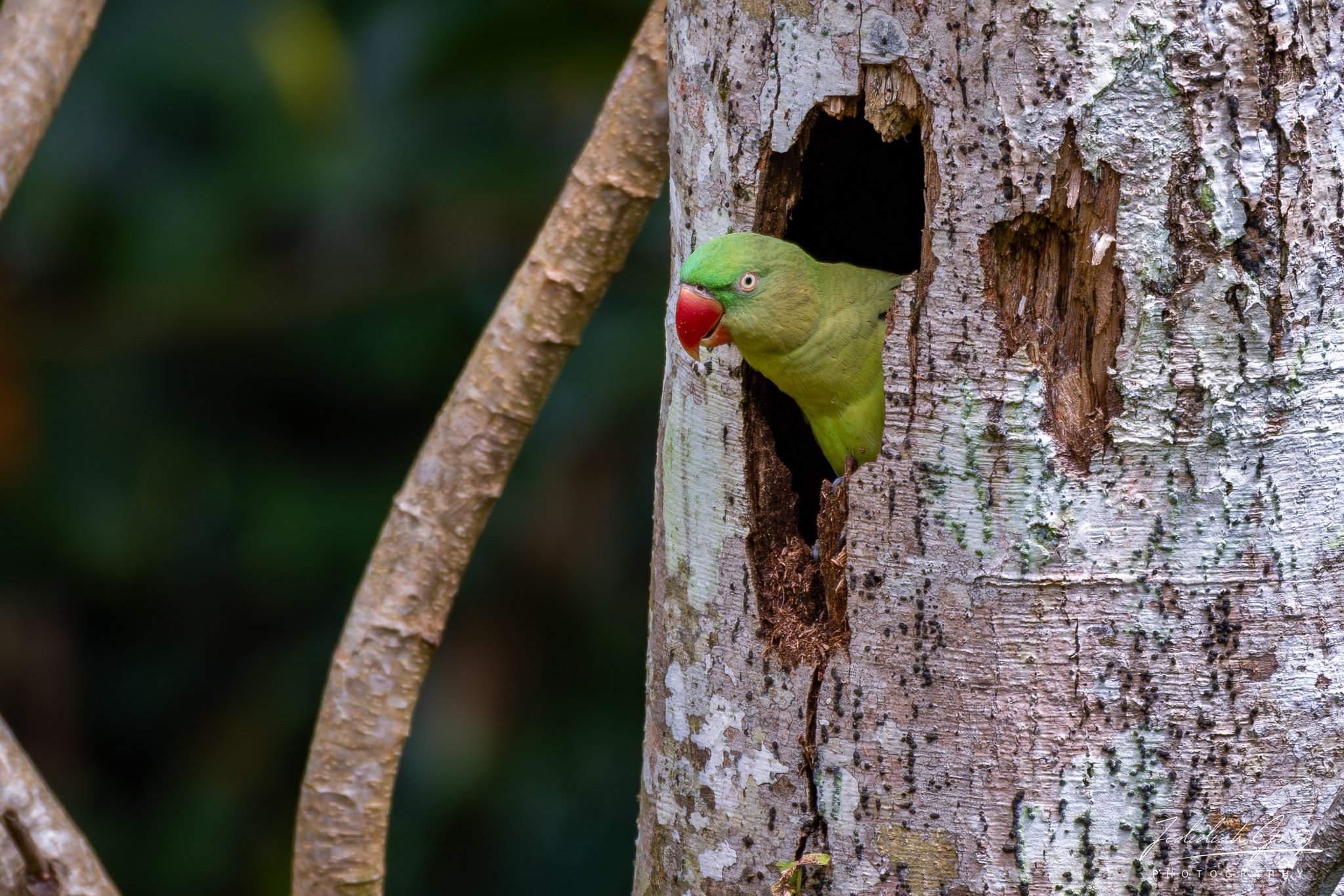 DSC_2482.jpg