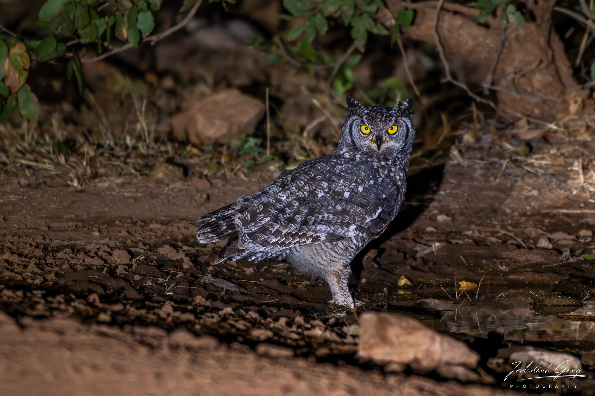 DSC_5348.jpg