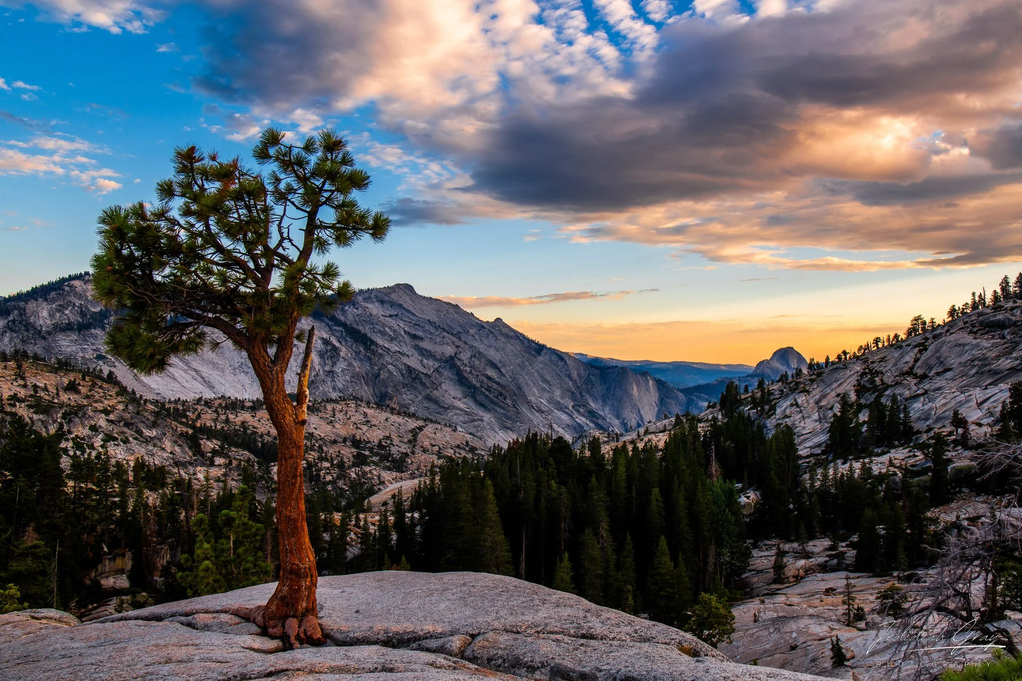 jedidiah-gray_california-yosemite-tioga-pass_01.jpg