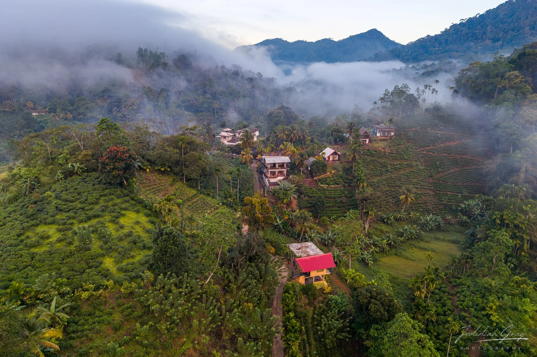 jedidiah-gray_sri-lanka-sinharaja-village_01.jpg