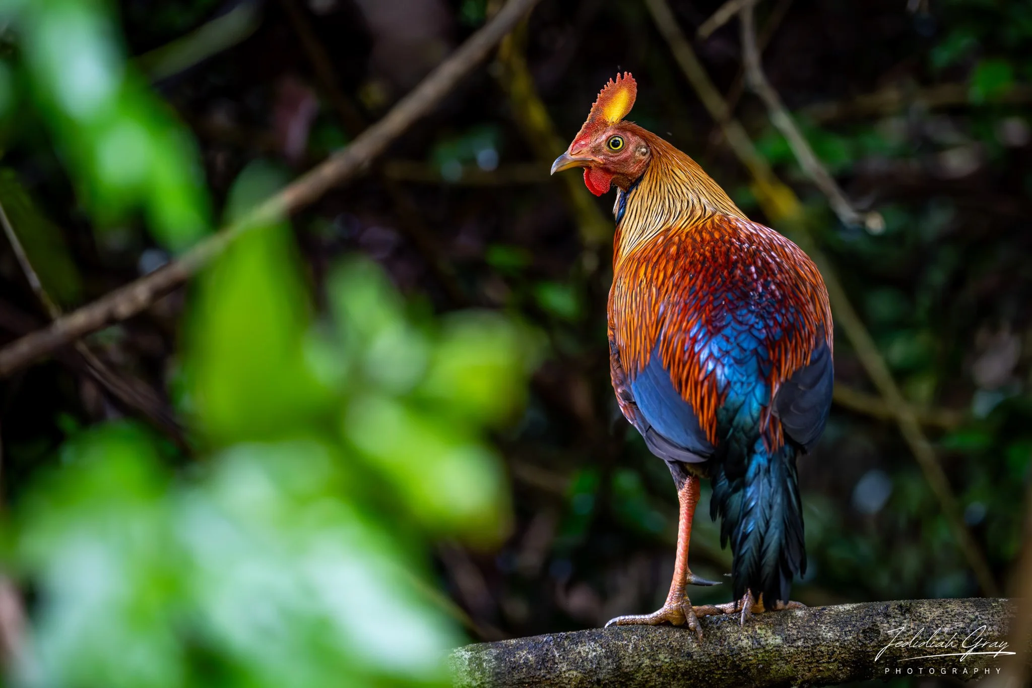 DSC_3512.jpg