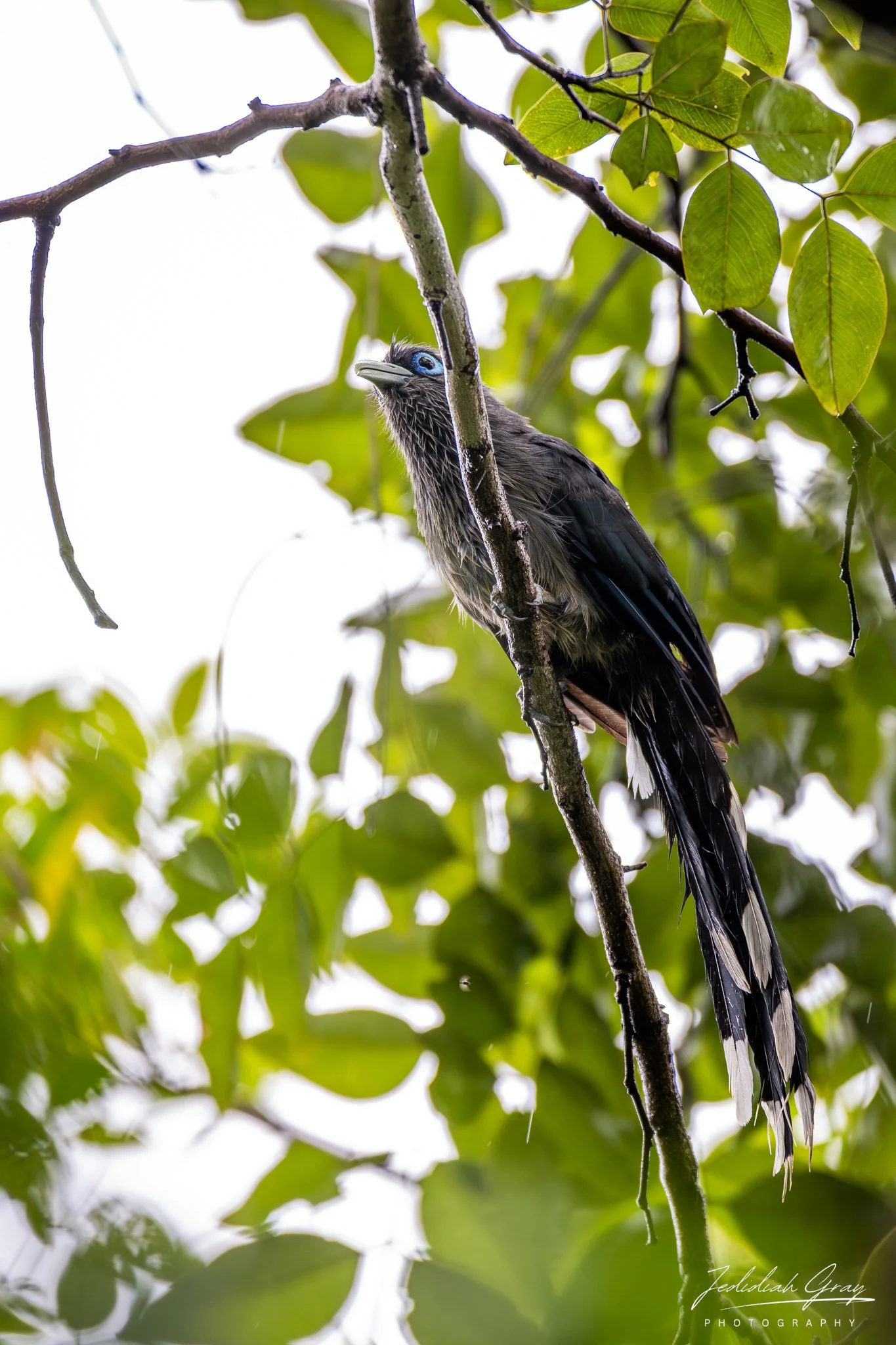 DSC_4182.jpg