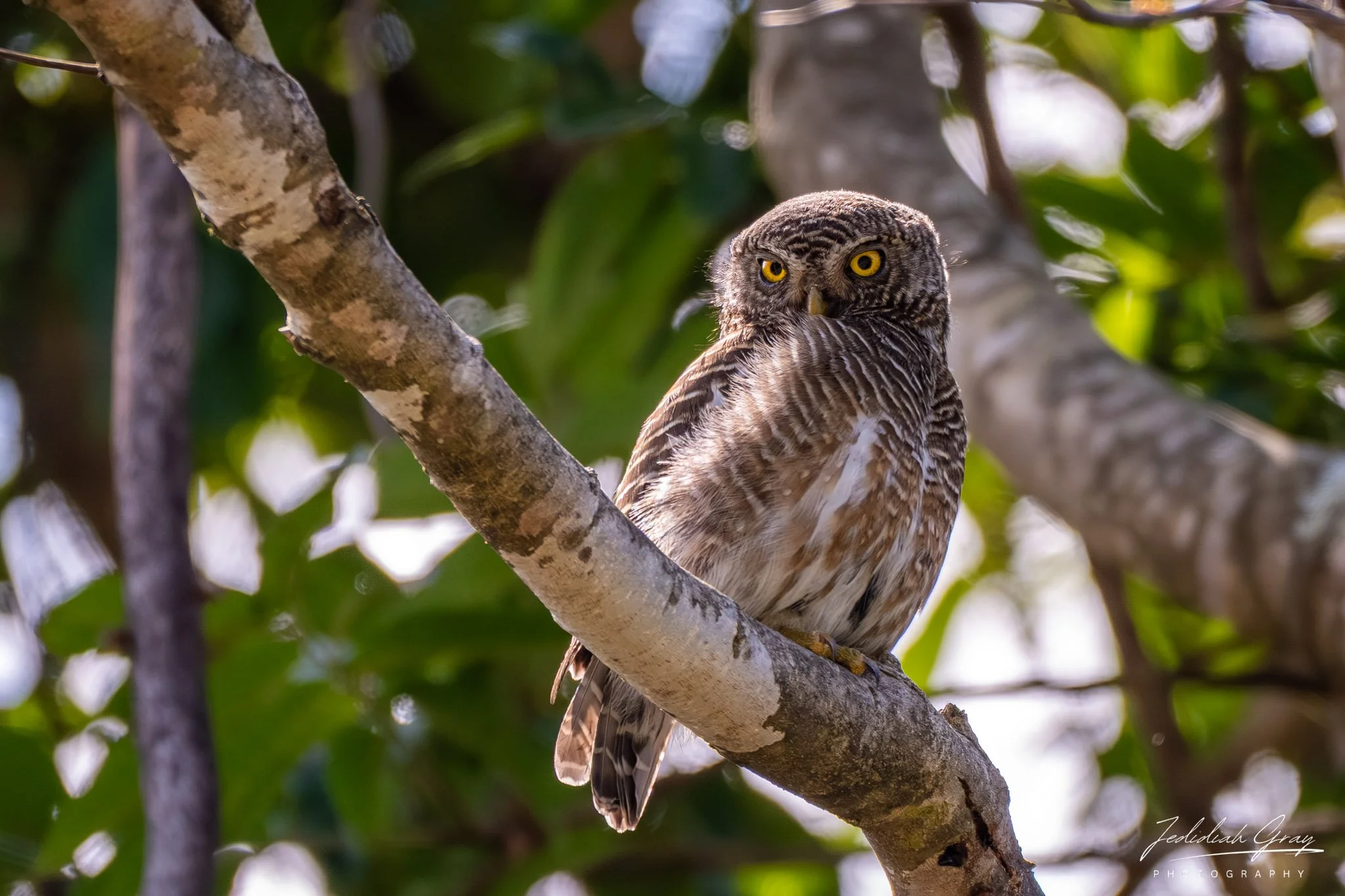 DSC_0275.jpg