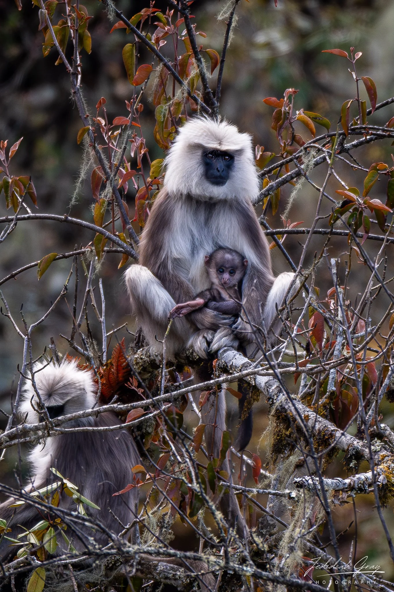 DSC_0720-2.jpg