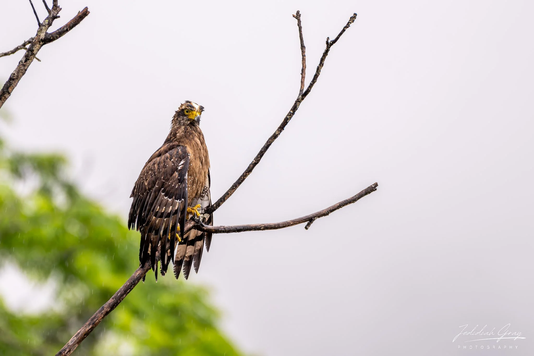 DSC_4148.jpg
