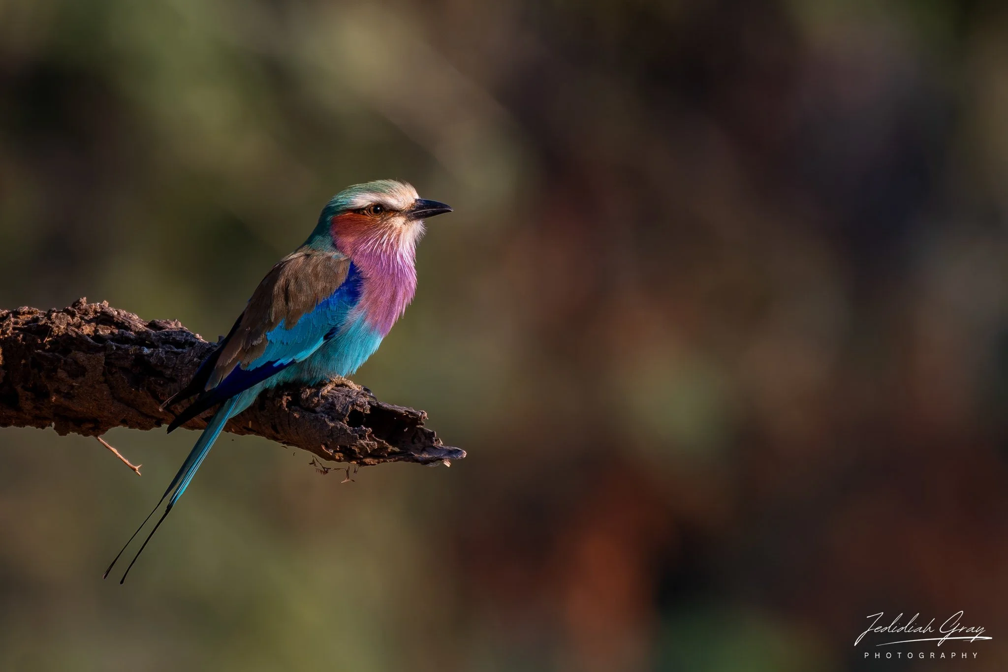 DSC_9902.jpg