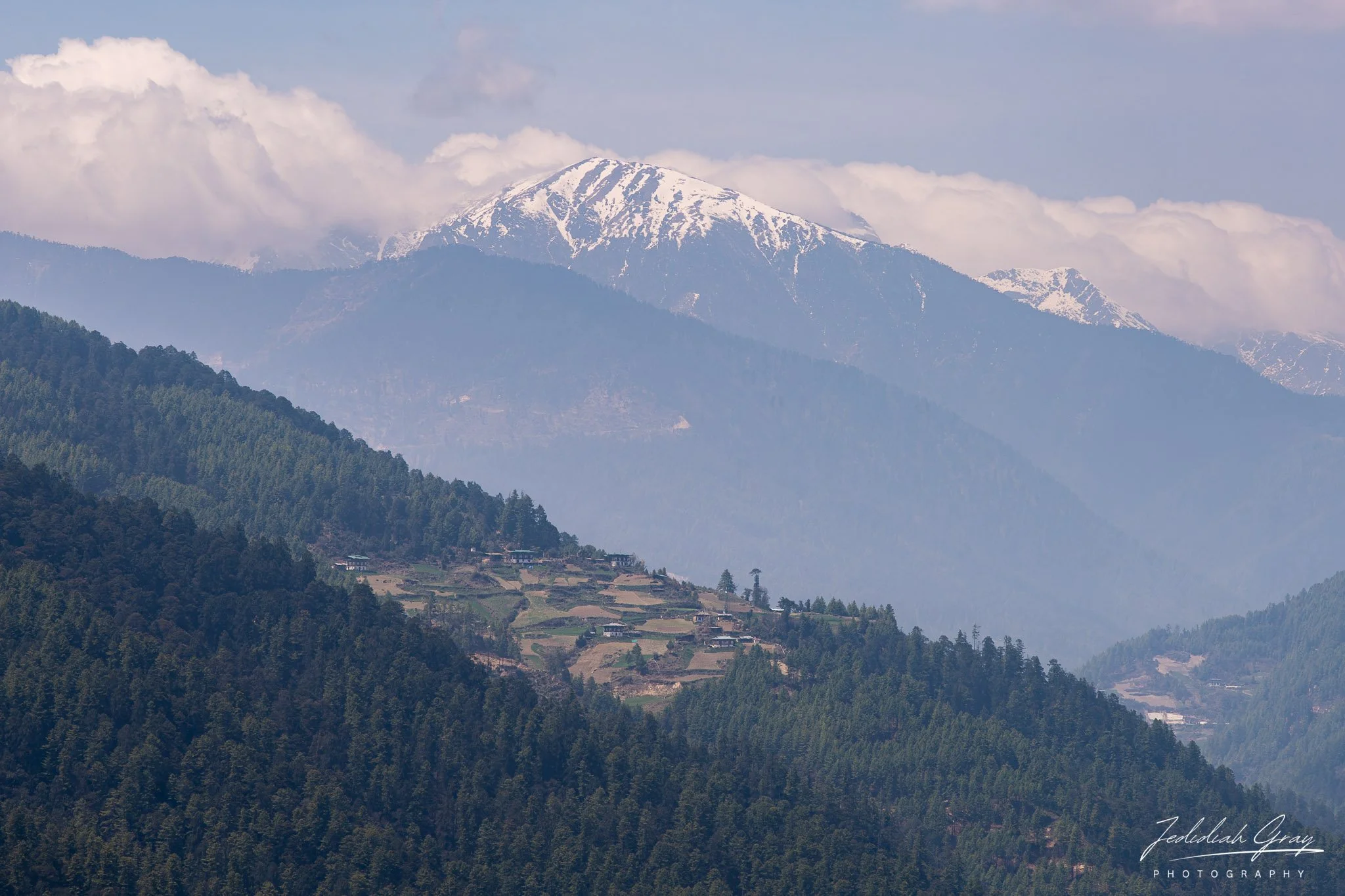 DSC_9684.jpg