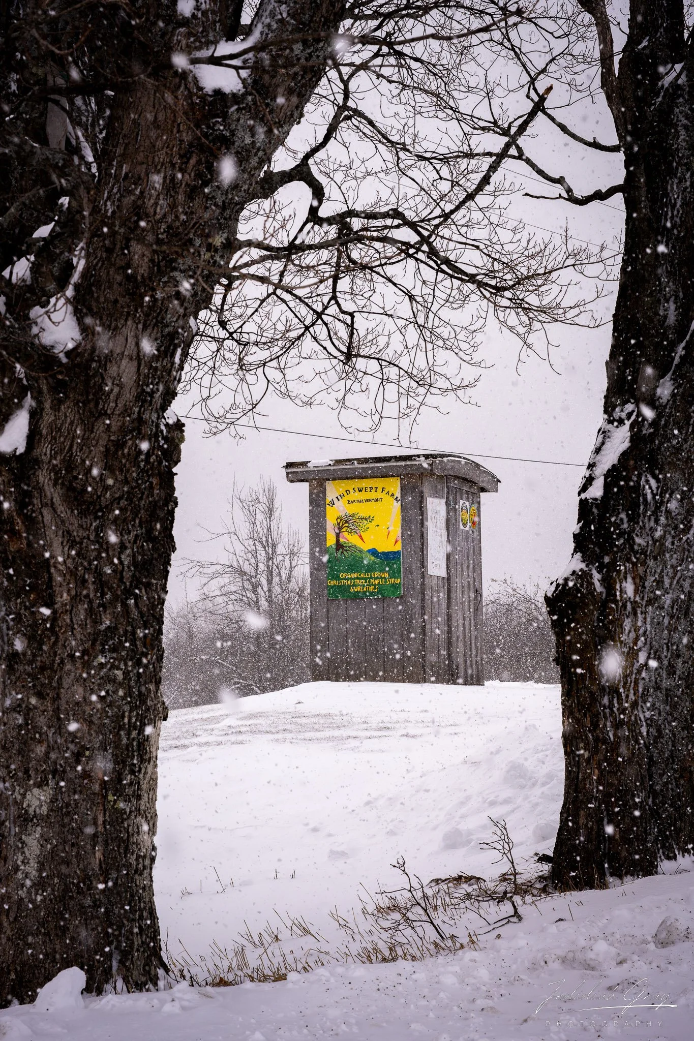 jedidiah-gray_vermont-winter-snow_02.jpg