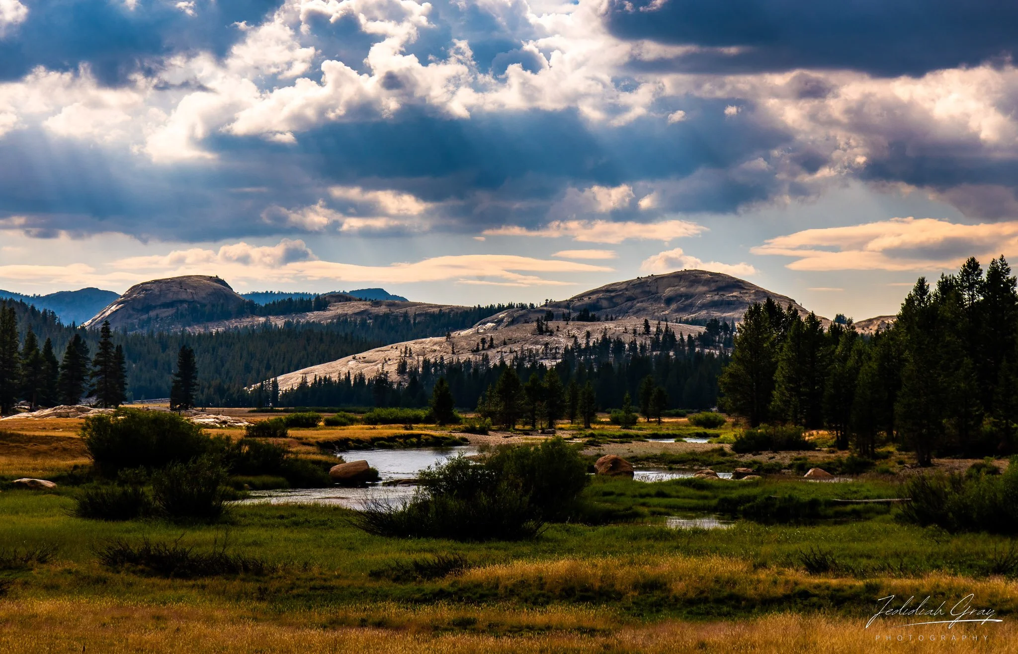 jedidiah-gray_california-yosemite-meadows_01.jpg
