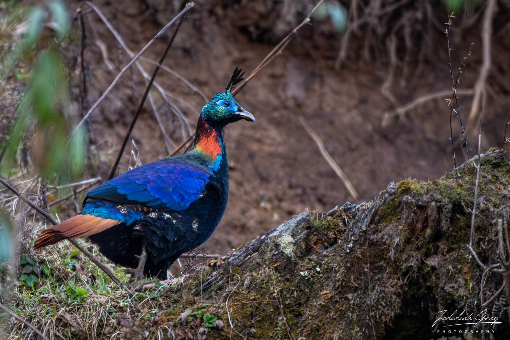 DSC_8363.jpg