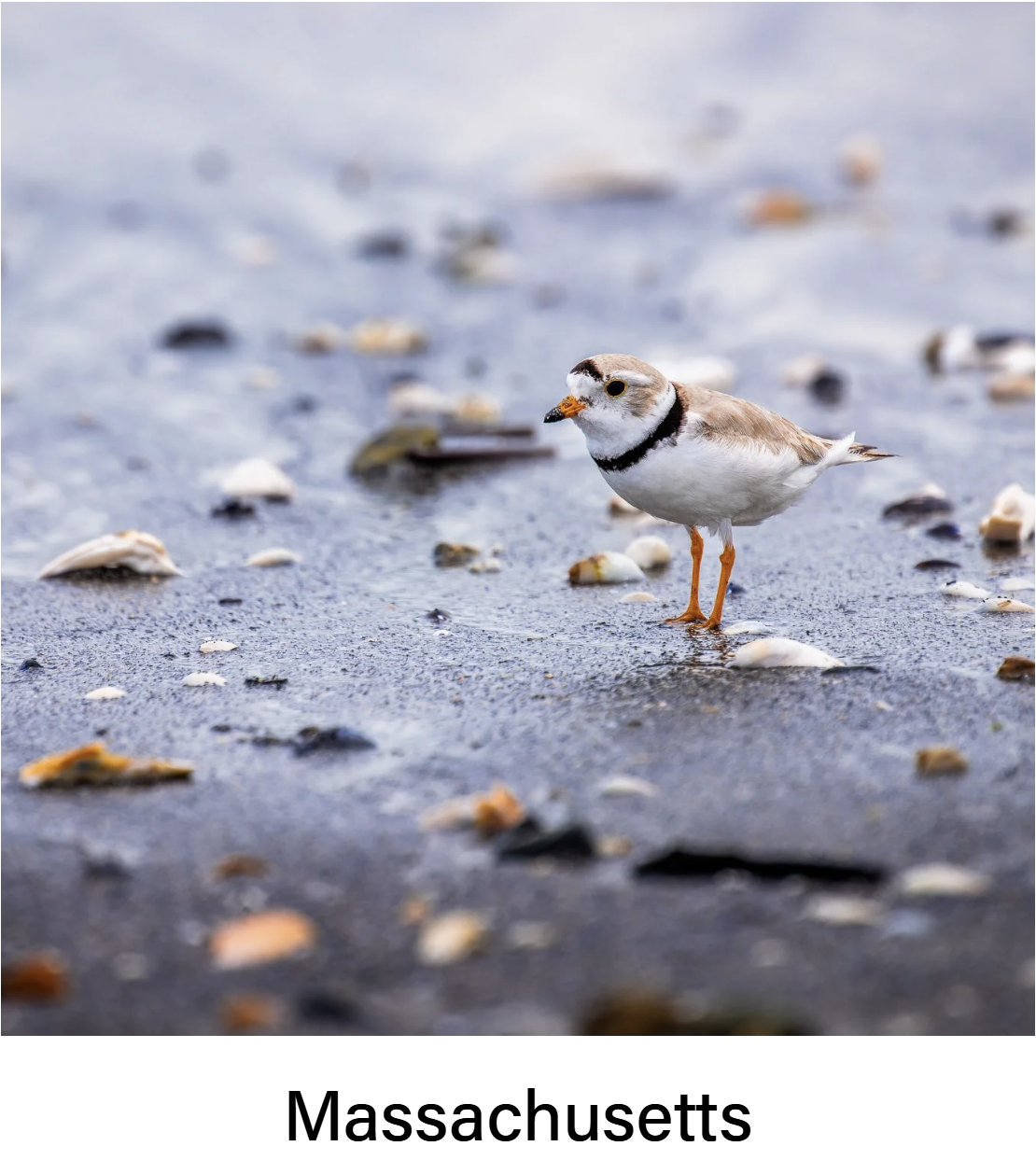 Screenshot 2026-02-10 131419.png