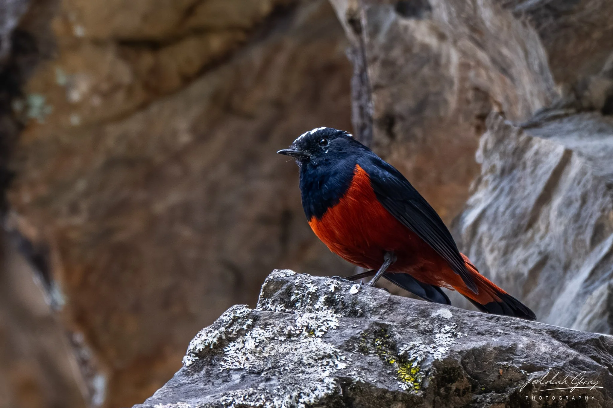 DSC_0620.jpg