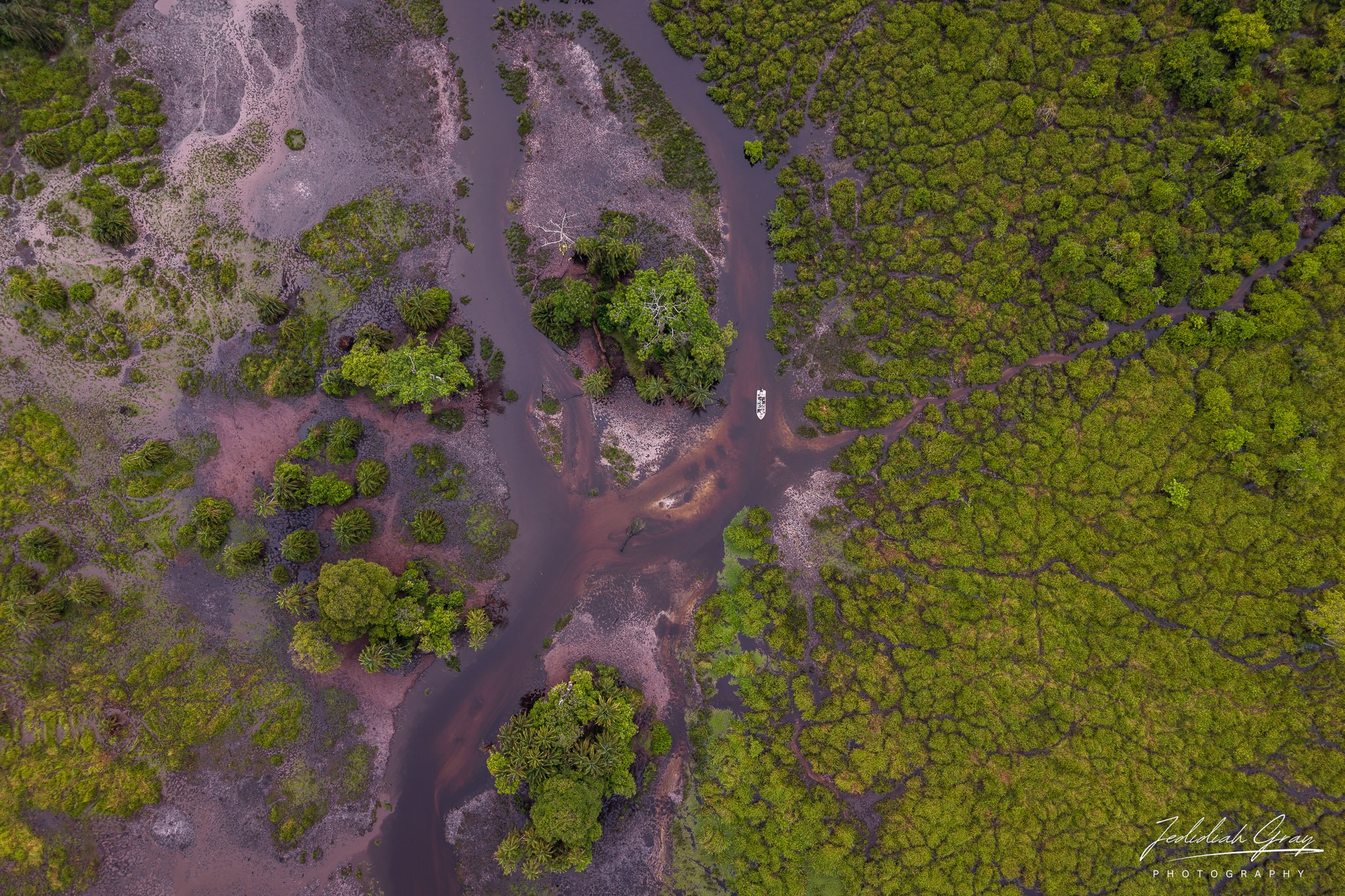 Aerial view of the Lango Bai complex in Odzala-Kokoua National Park