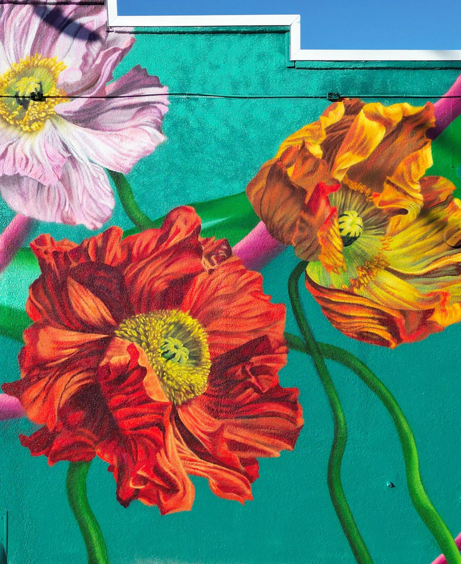 Colorful mural of large red, yellow, and pink poppies on a turquoise background.