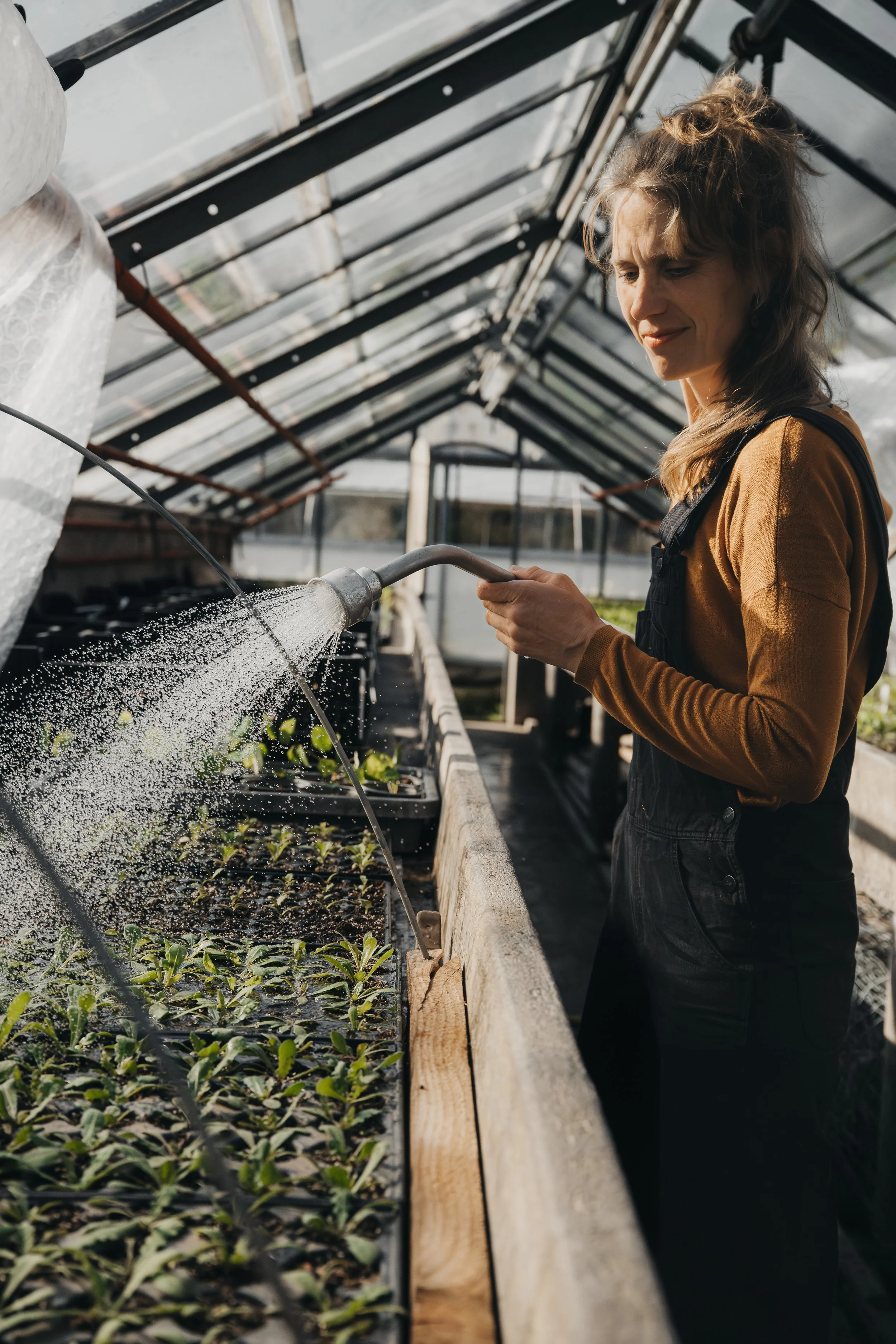 Business Shooting in Gärtnerei