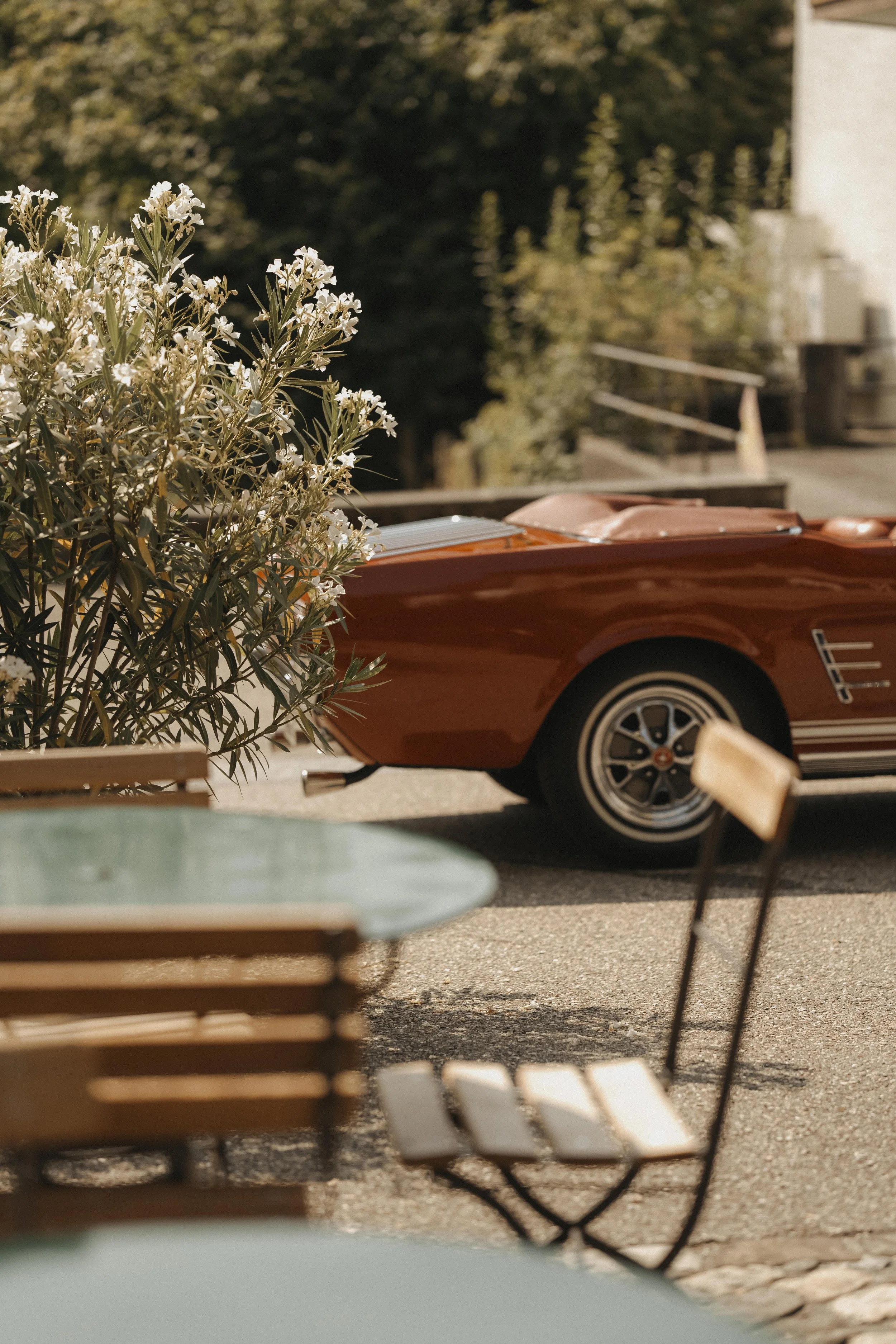 Ein rotes Cabriolet-Fahrzeug parkt neben weißen Blumen und einem Sitzbereich im Freien, mit Bäumen im Hintergrund.