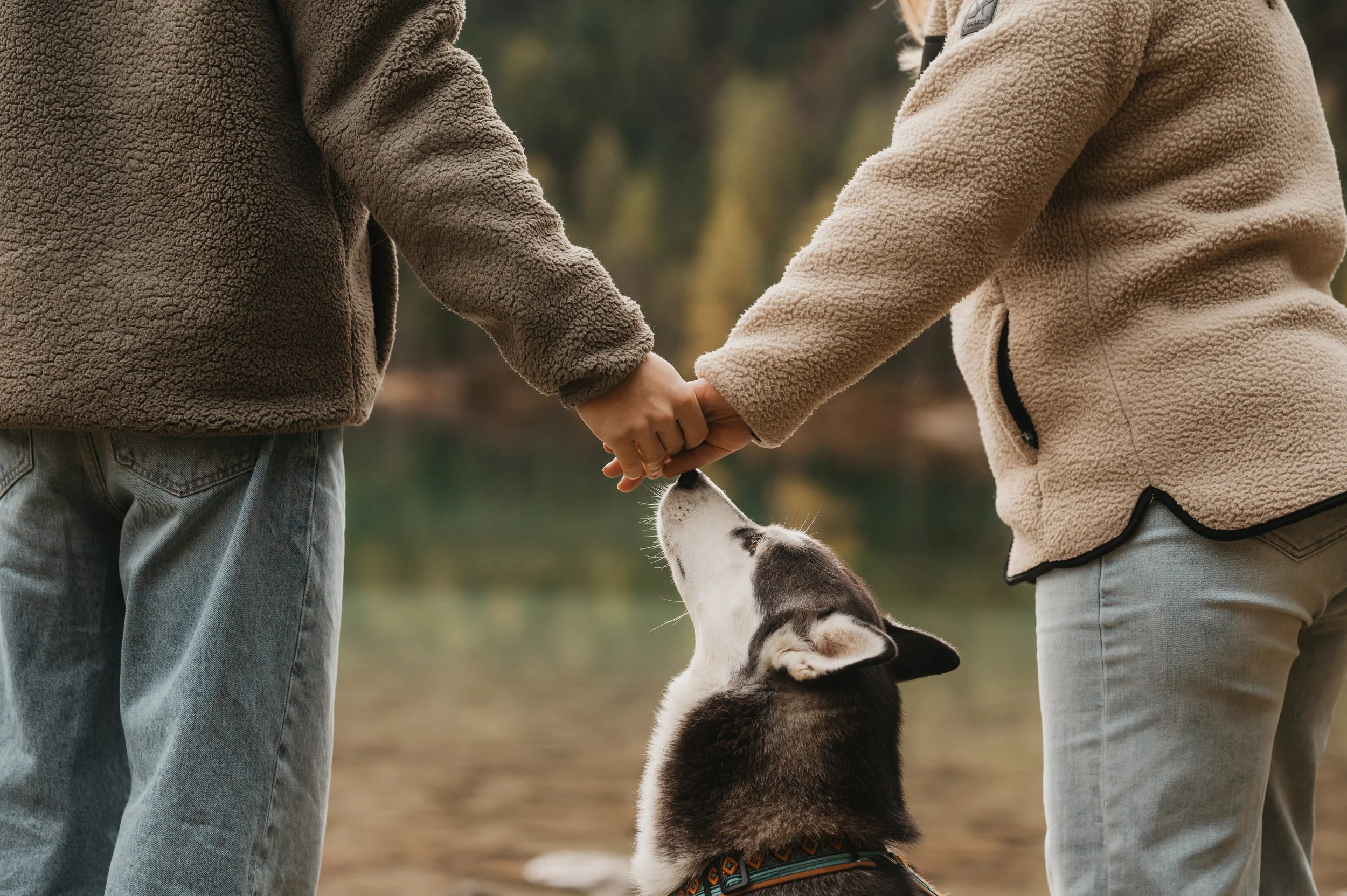 Fotoshooting Albulapass