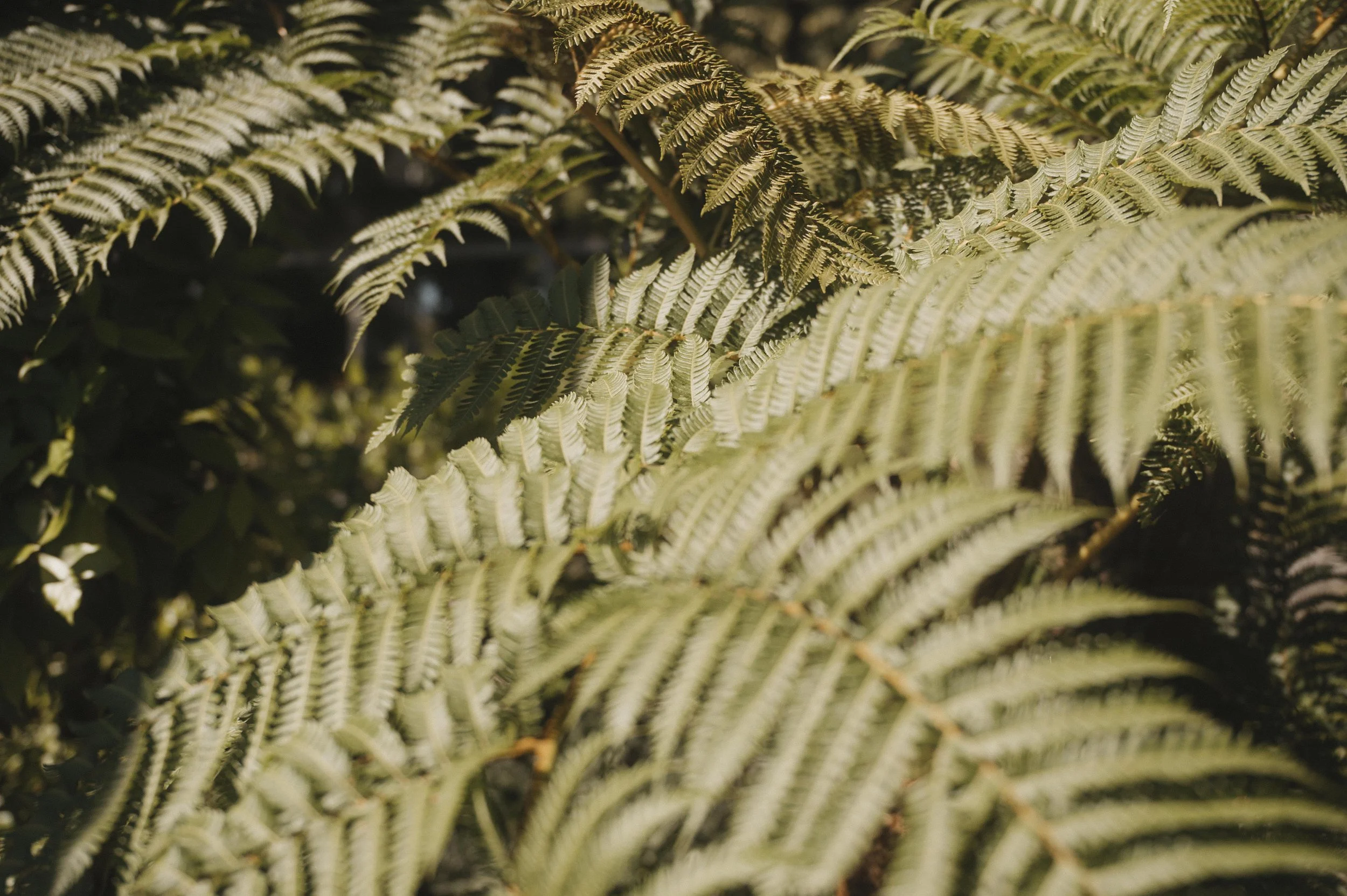 Gartenbauschule Oeschberg