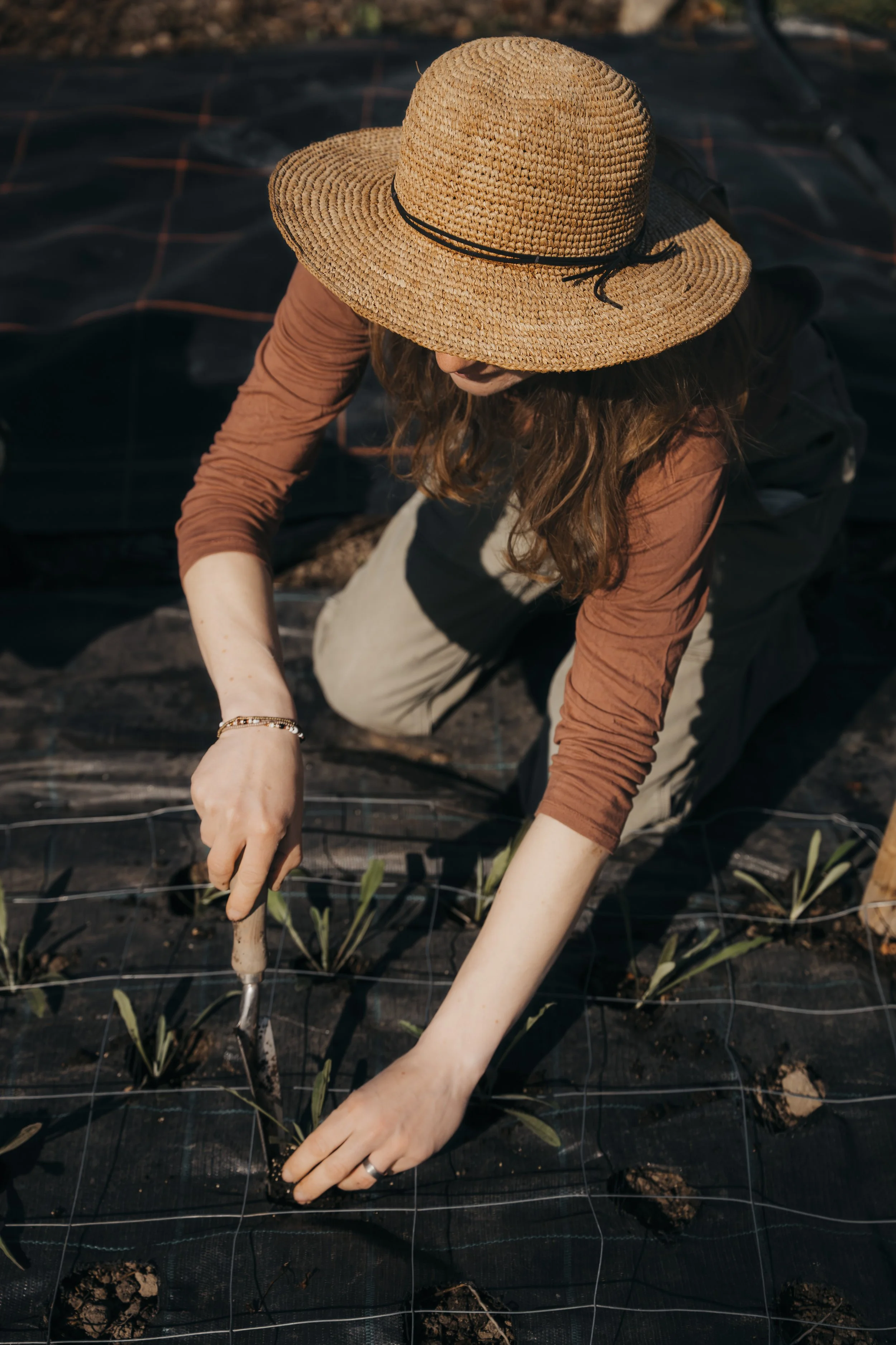Businessshooting Zehendigarten Blumen und Kohl