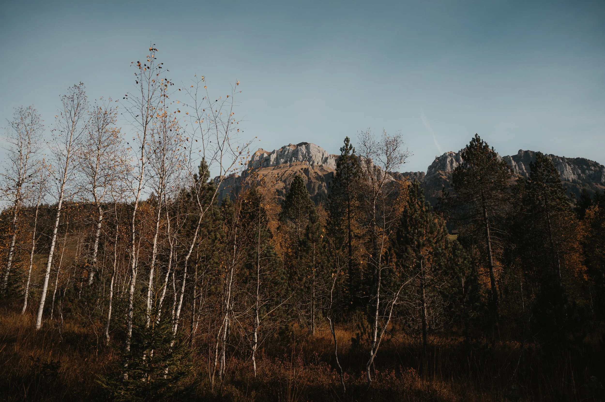 Berglandschaft mit Felsen im Hintergrund und Bäumen im Vordergrund, vermutlich im Herbst