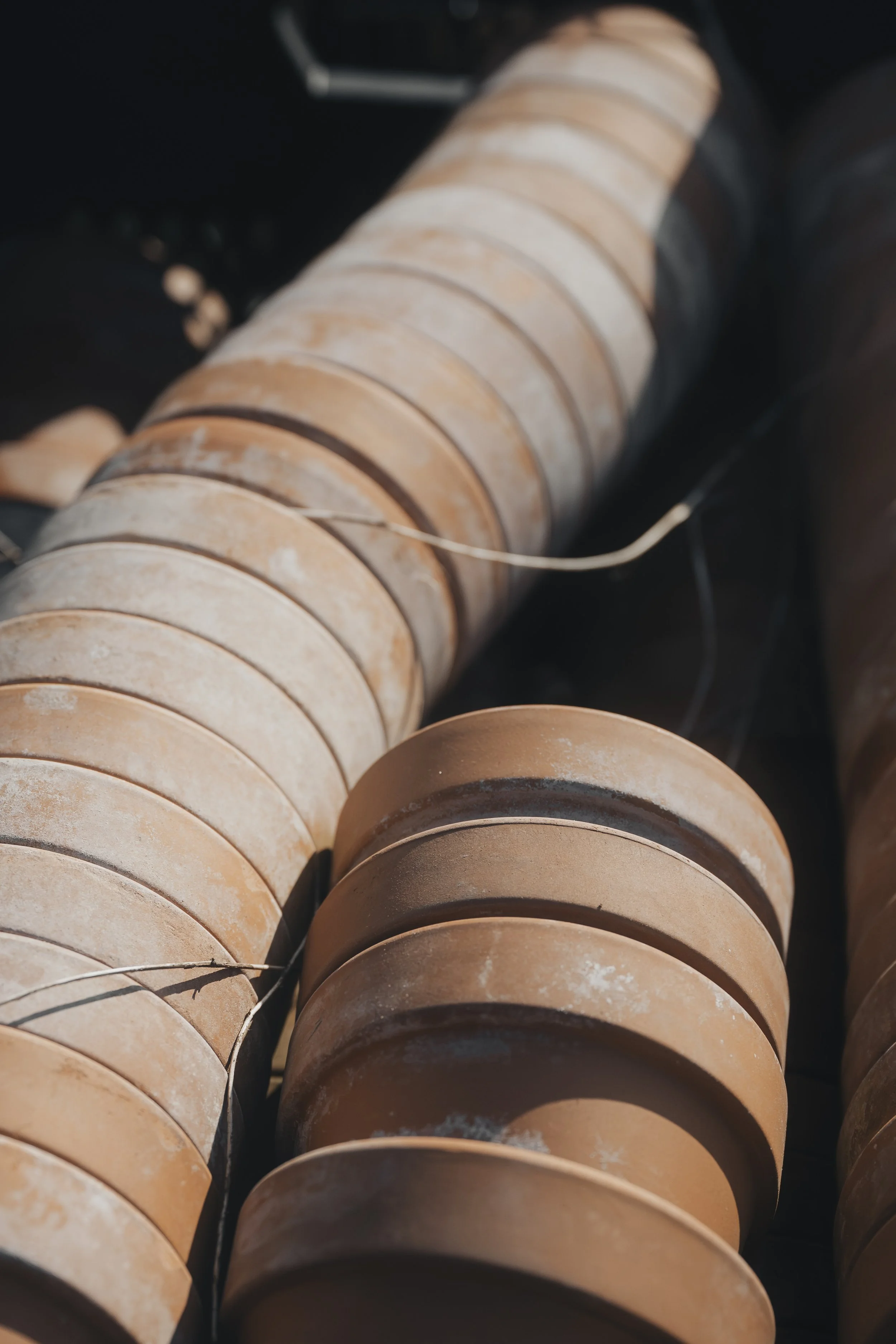 Businessfotografie in einer Gärtnerei in Bern