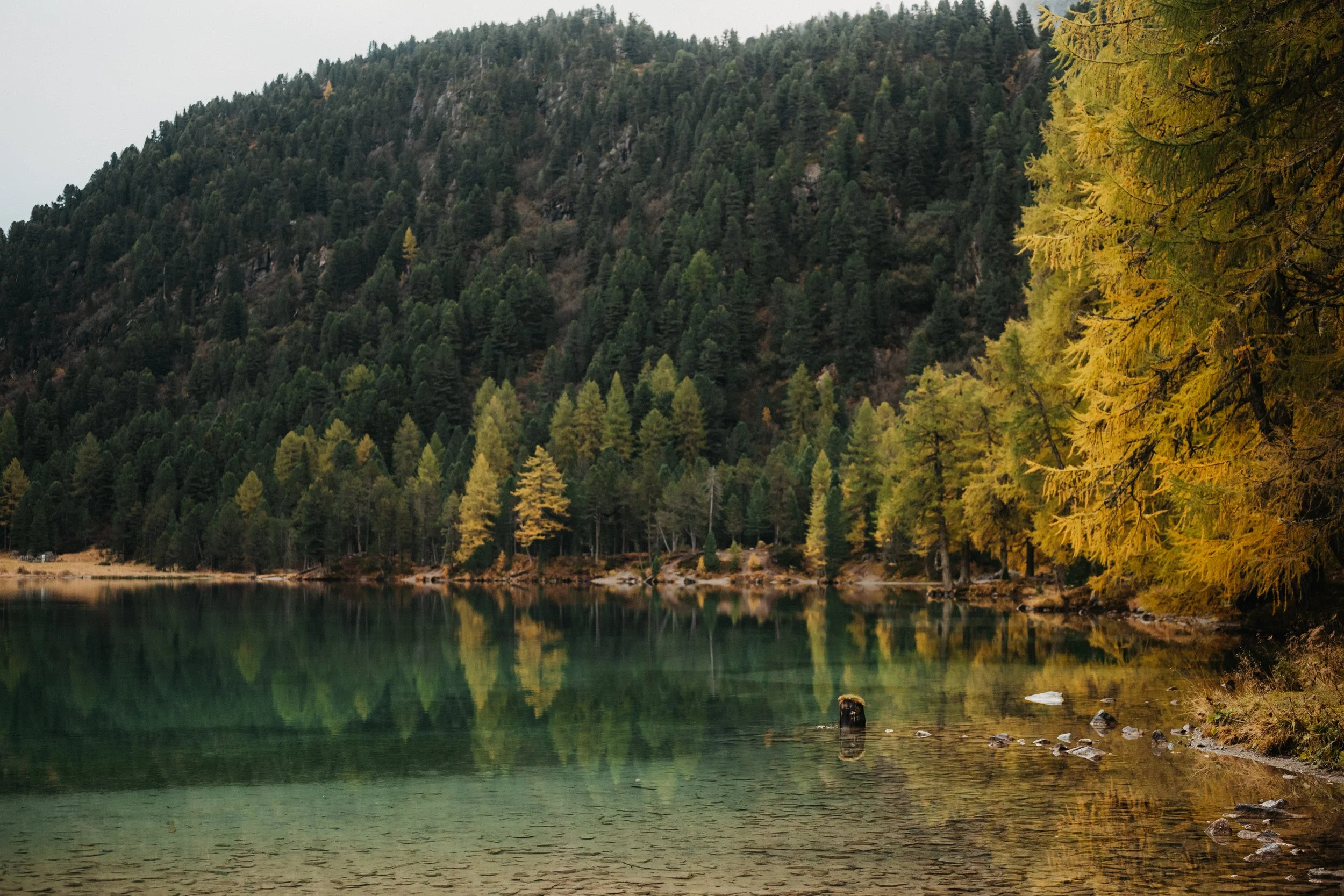 Ein See mit klarer Wasseroberfläche, umgeben von Bergen und herbstlich gefärbten Bäumen, viele sind gelb und grün, die Natur im Herbst