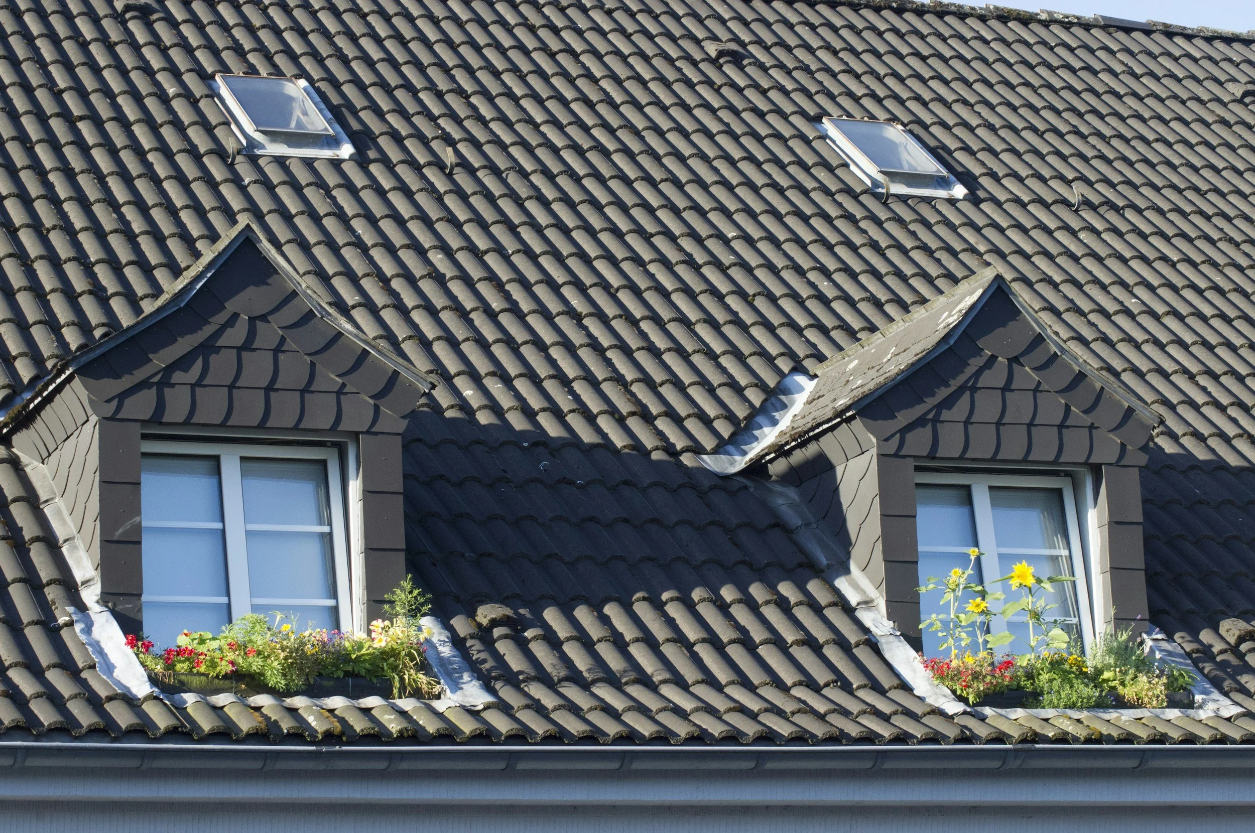 Close-up of a house roof with two dormer windows and three skylights. The dormer windows have flower boxes with colorful flowers. The roof is covered in dark gray tiles.