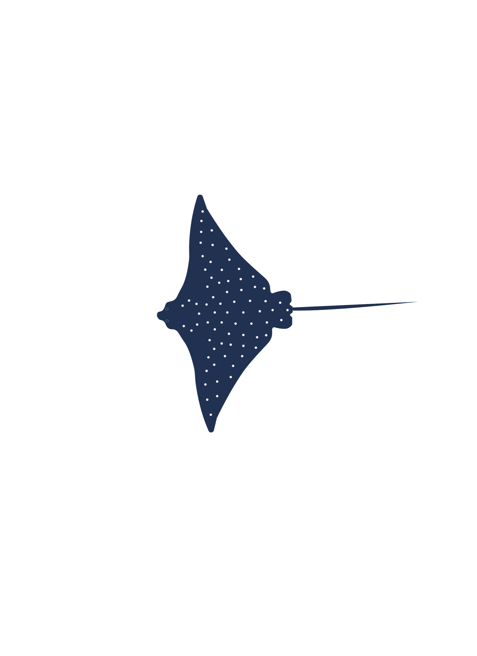 Mantarraya