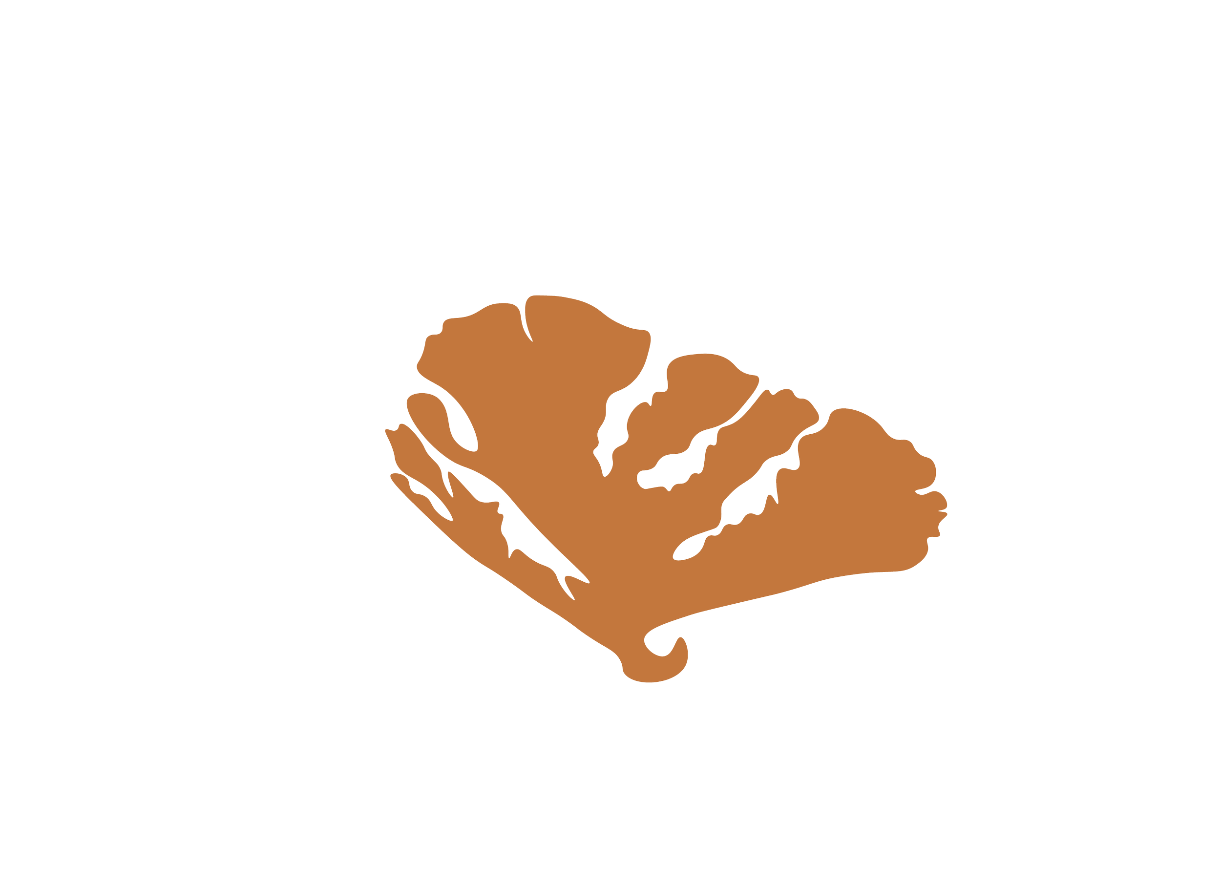 Coral cuerno de alce