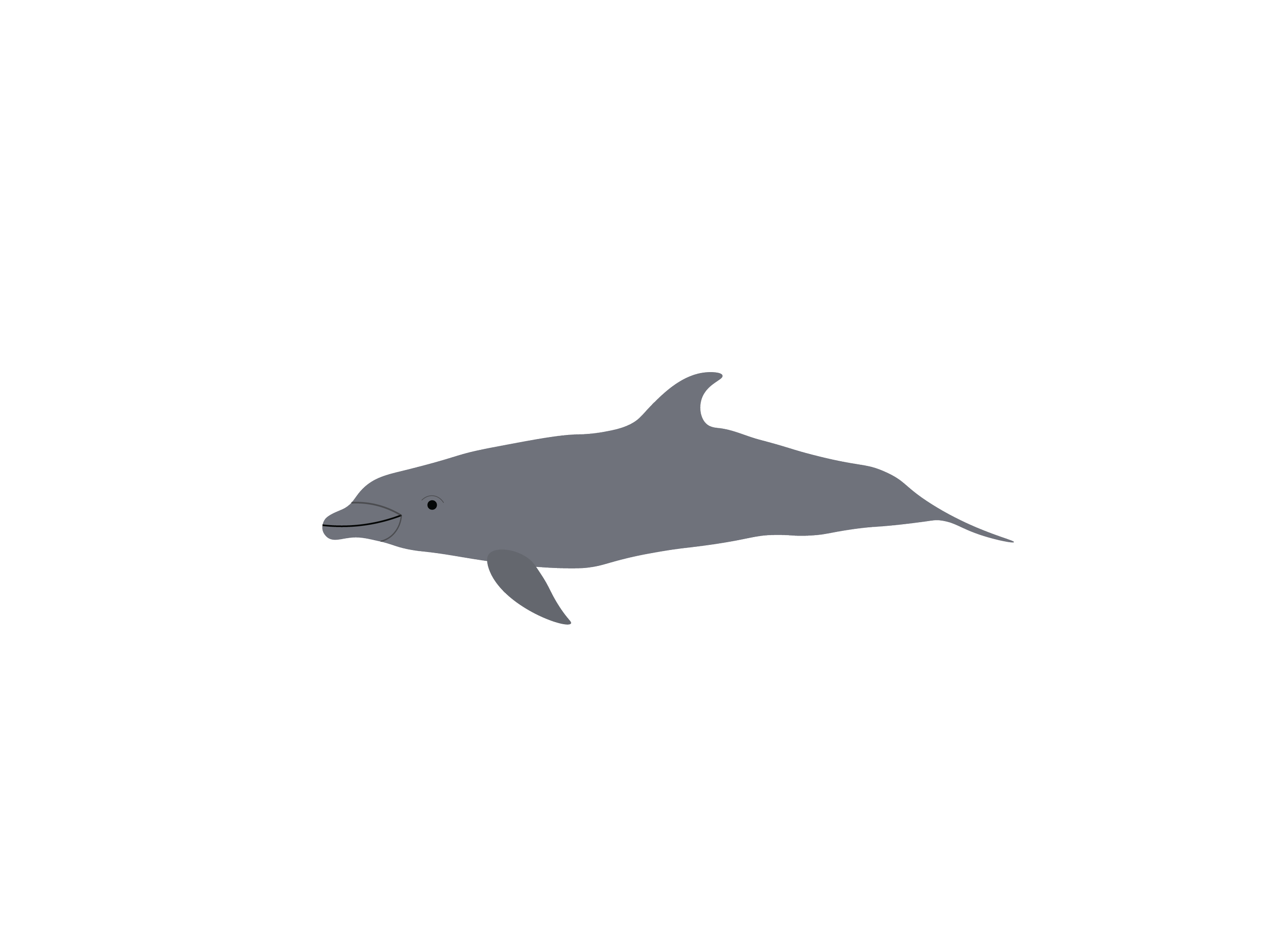 Delfín nariz de botella