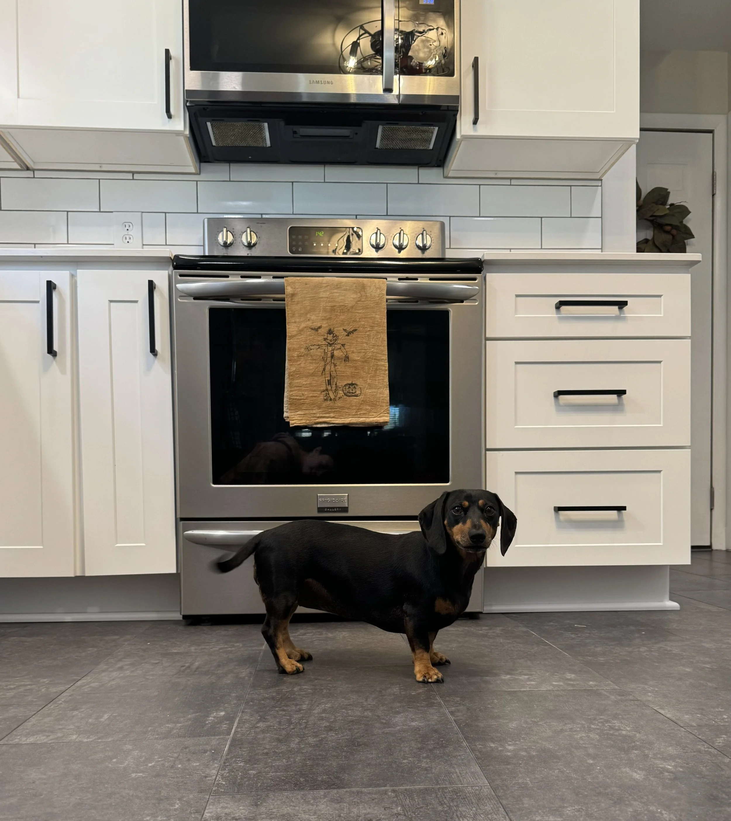 A black and tan dachshund standing on a grey tiled kitchen floor in front of a silver oven with a beige towel hanging on the oven door handle.