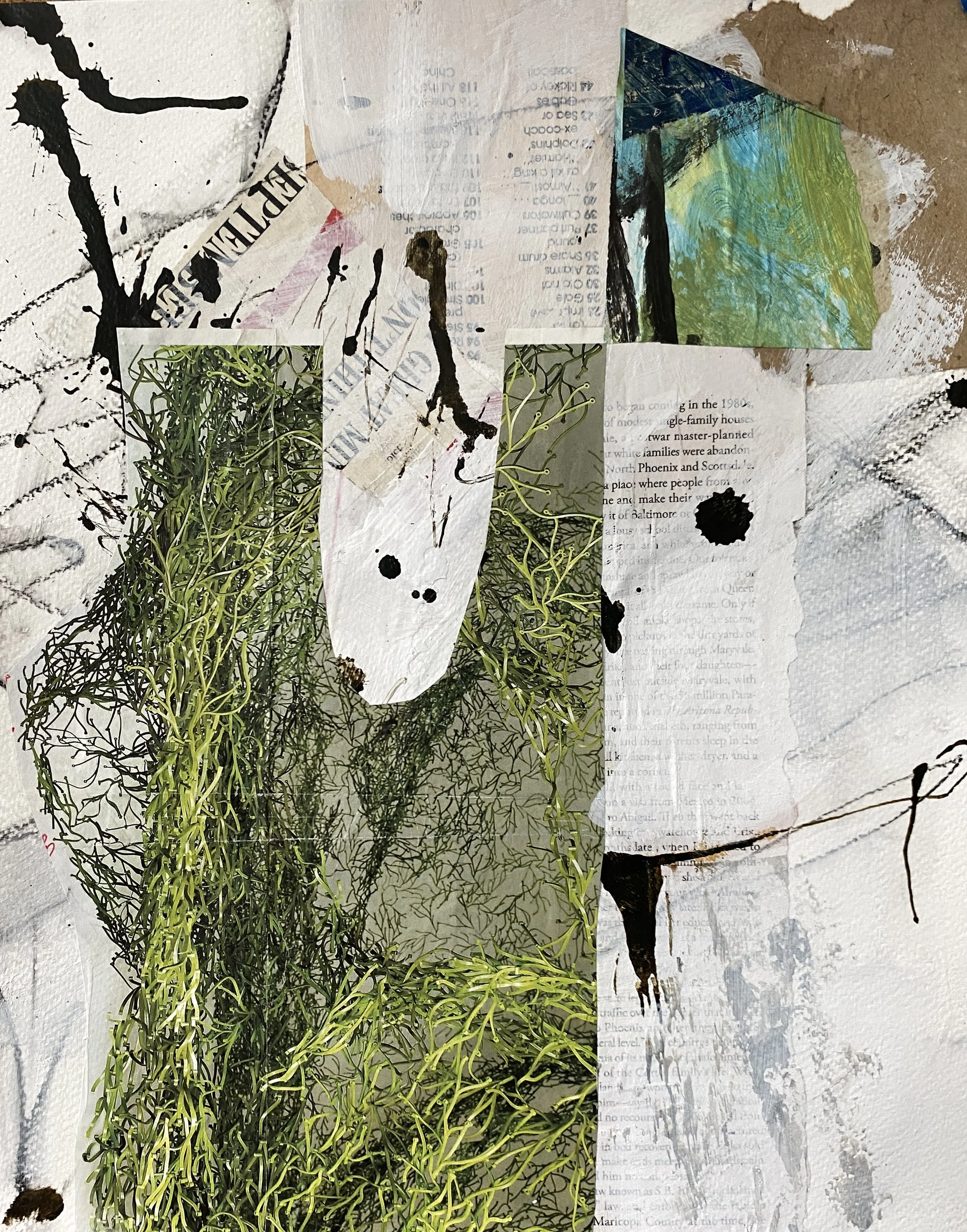 A Glyph Shaped by Deliberation