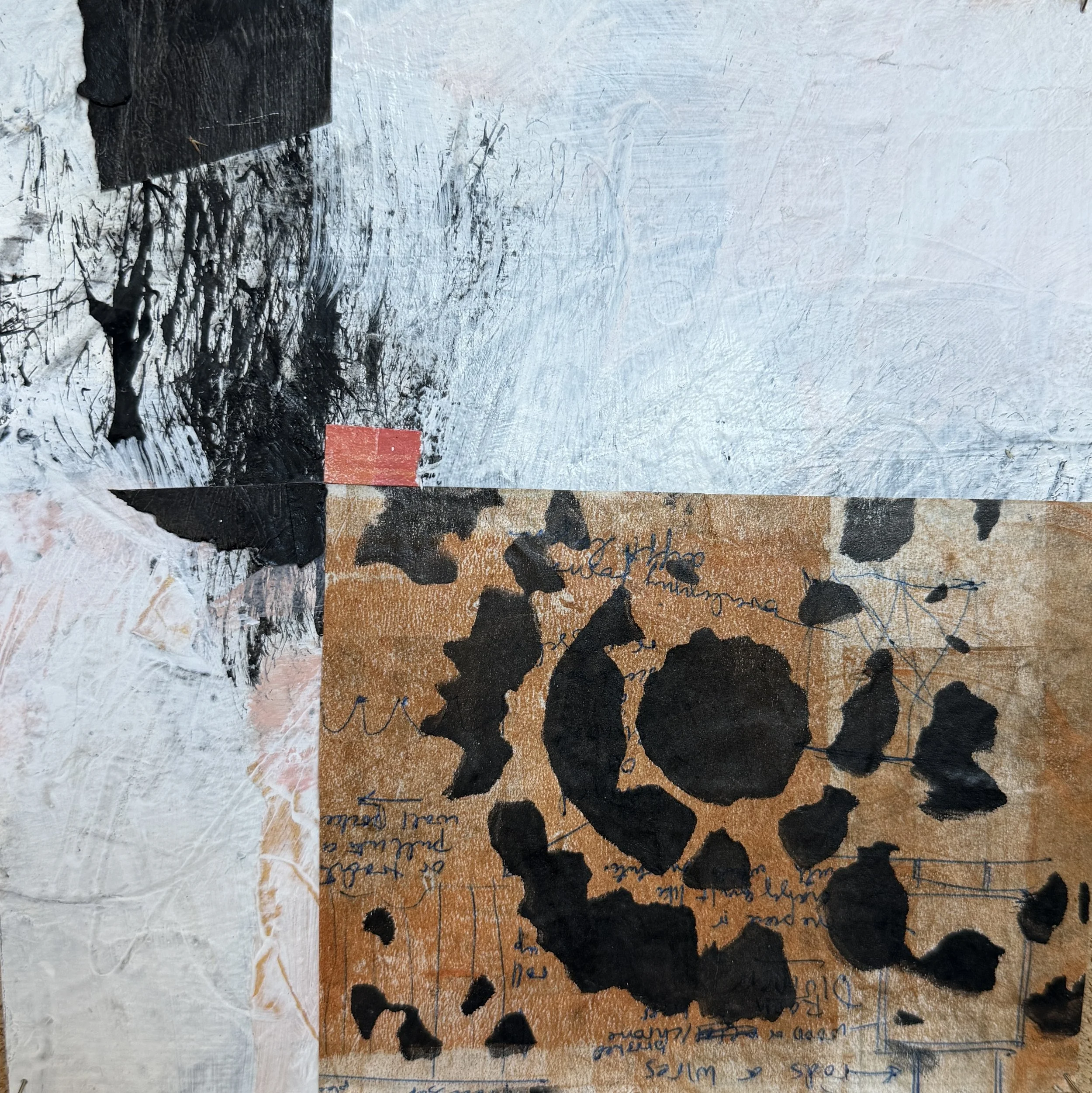 The Leopard Still Has Its Spots