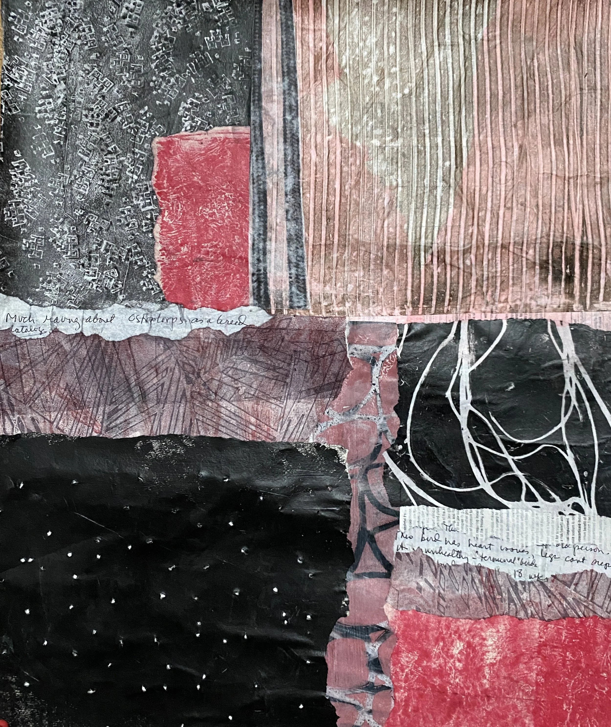 Shoulds Born of Fear