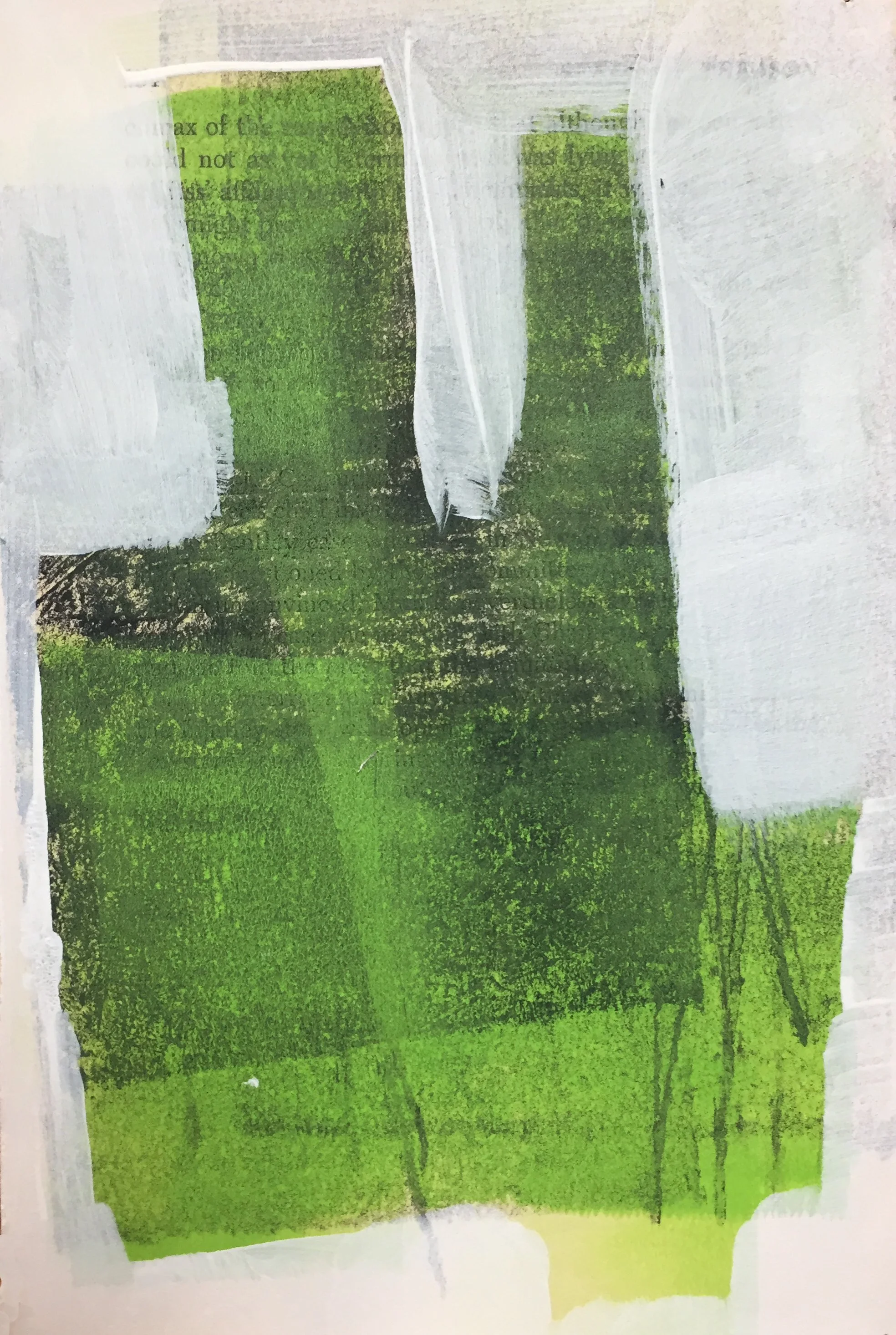 The Strange Plants on the Perimeter