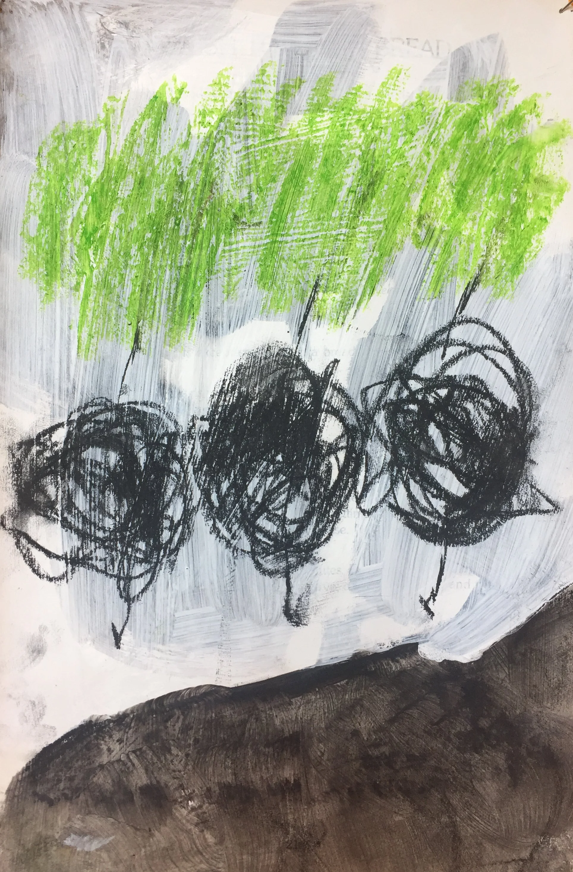 We Had Such a Nice Day at the Volcano