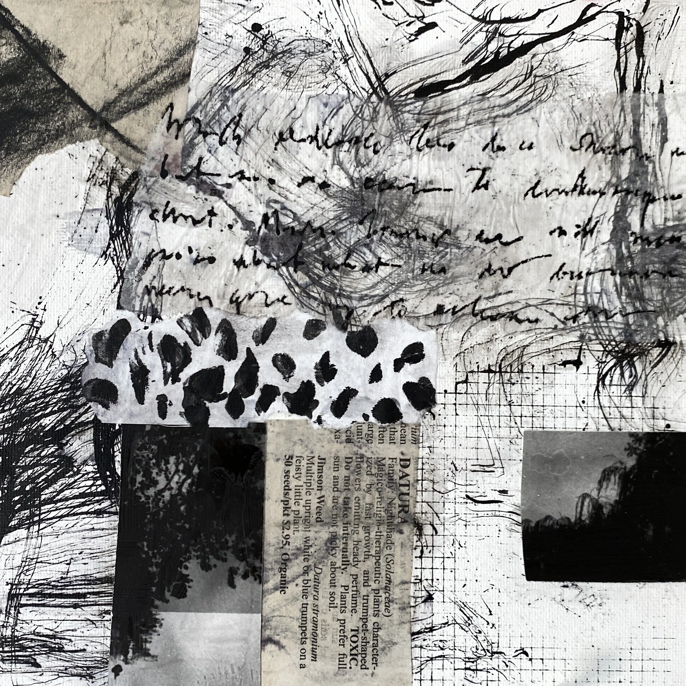 A Vision of Increase and Flourishing