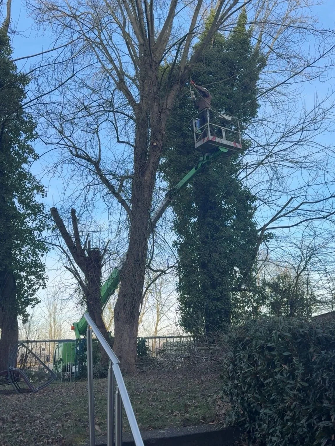 Oranssi-Projekt: Lamellendach